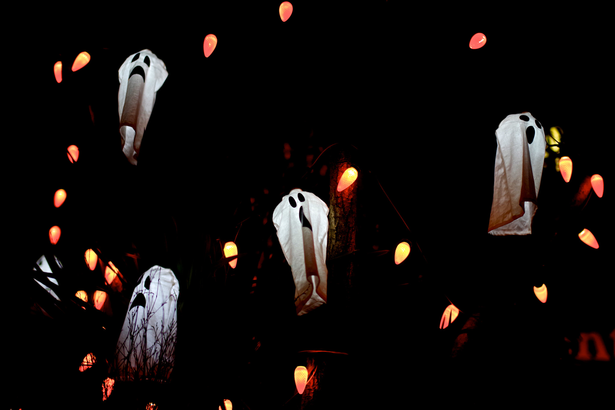 Pentax K-1 sample photo. Halloween photography