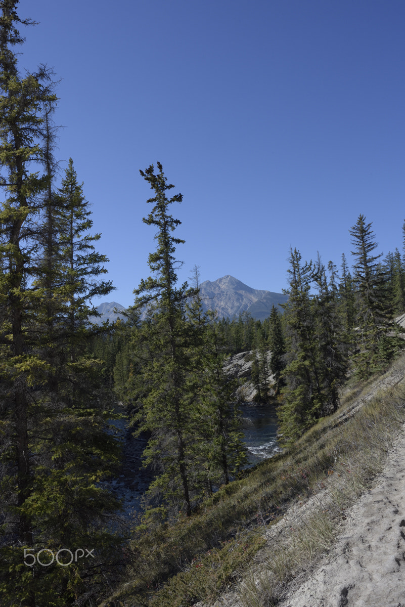 Nikon D750 + Nikon PC-E Nikkor 24mm F3.5D ED Tilt-Shift sample photo. Pyramid mountain in distance photography