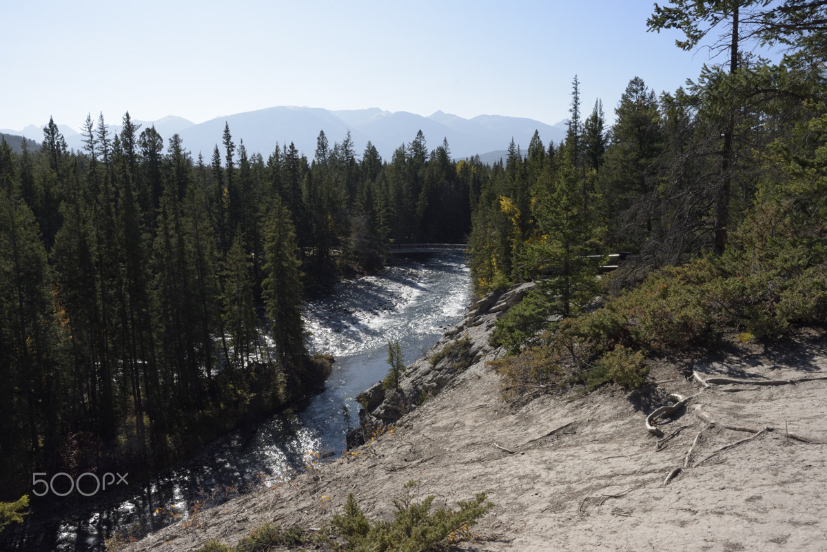 Nikon D750 sample photo. Maligne river from the trail photography