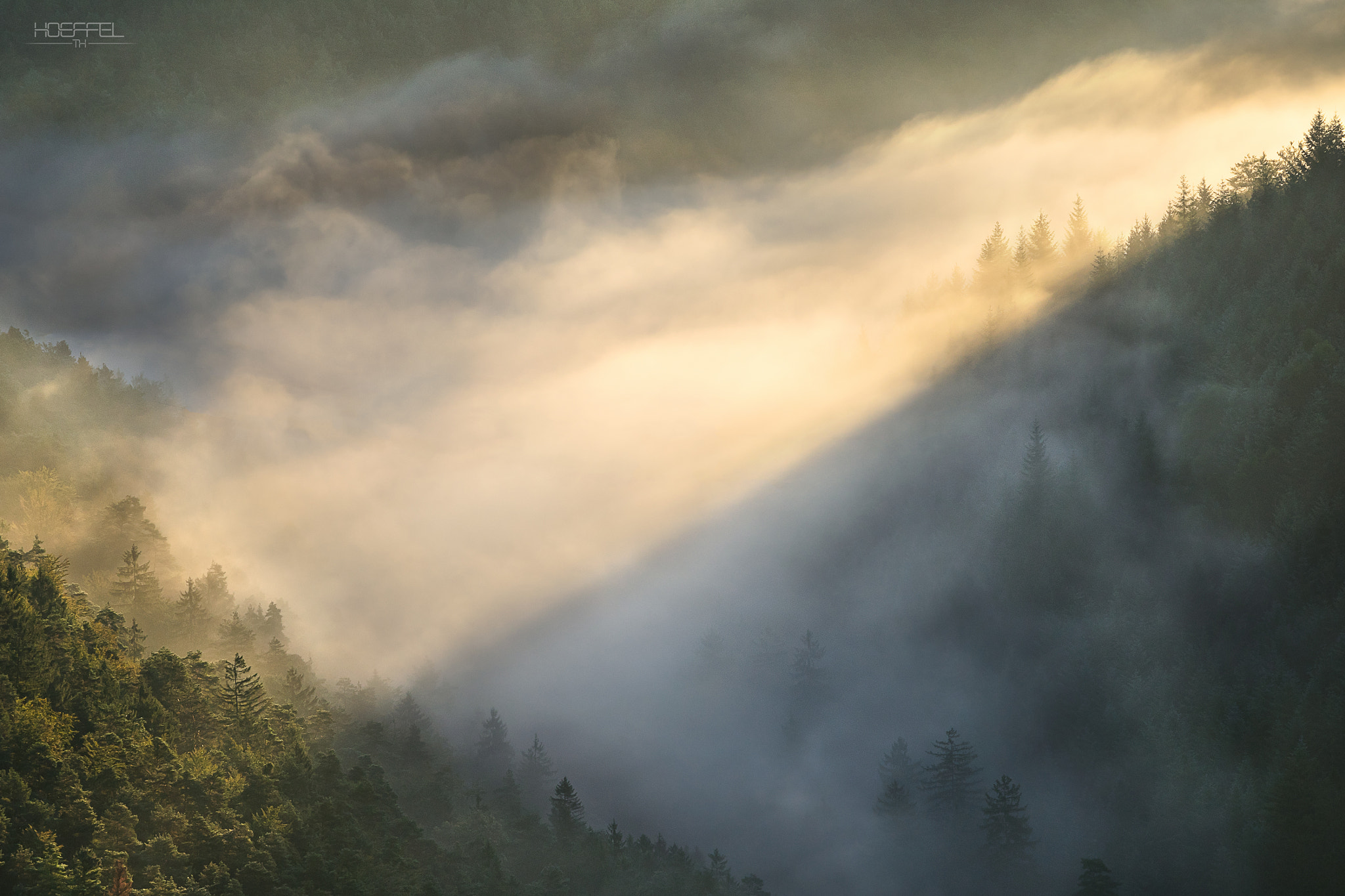 Tamron 18-270mm F3.5-6.3 Di II PZD sample photo. First light in the fog photography