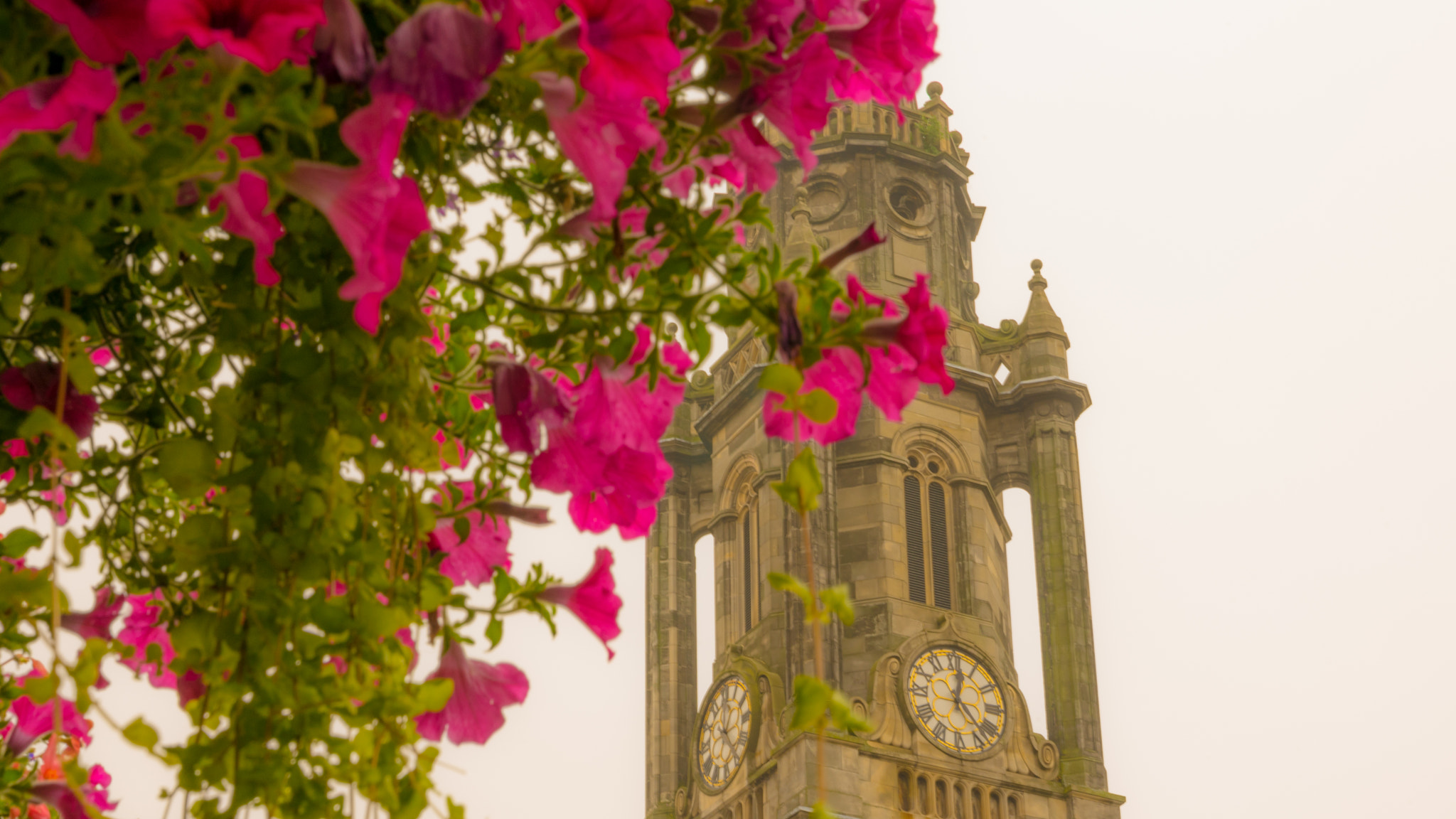 Sony a7 sample photo. Church flowers photography