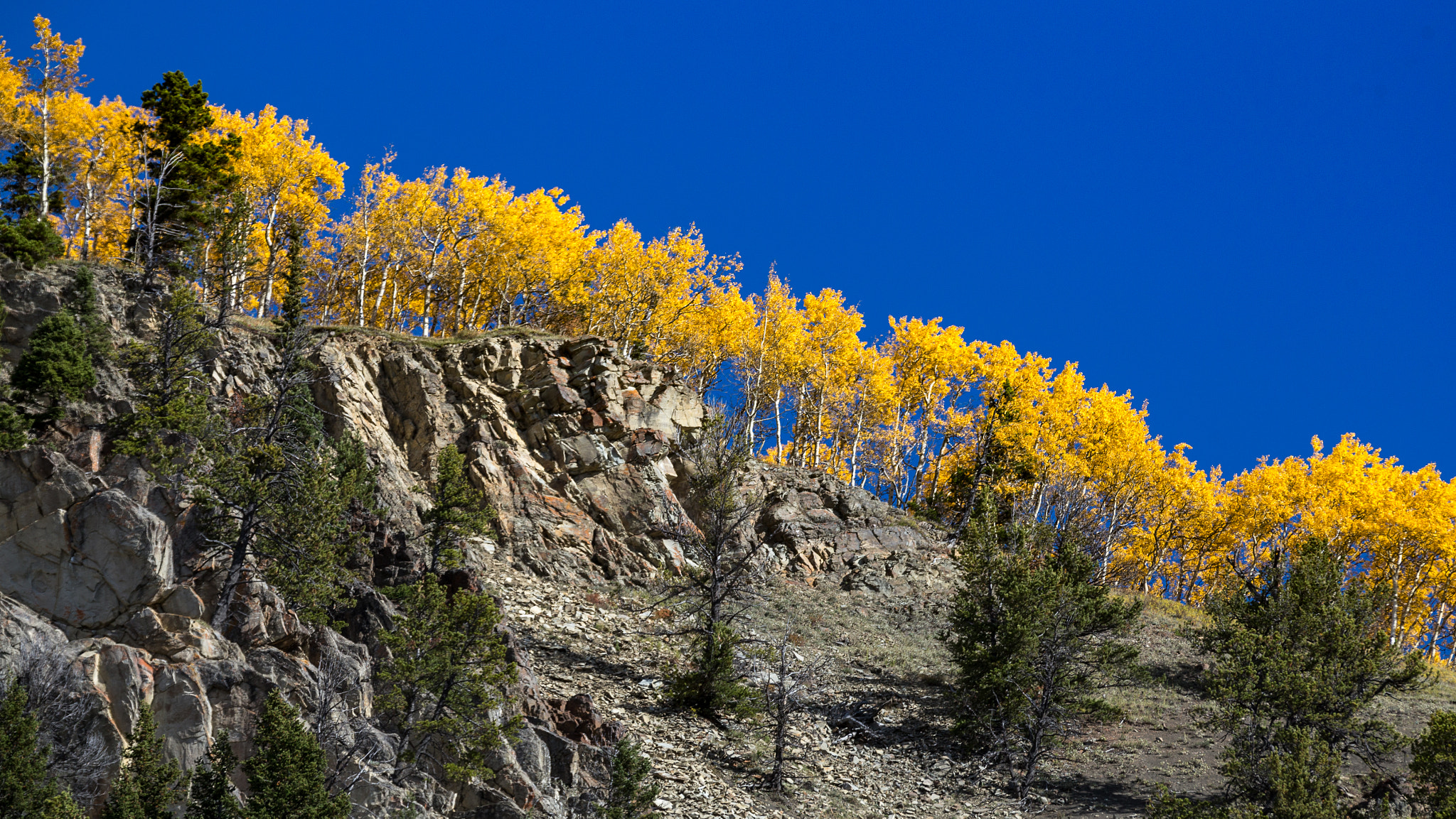 Canon EF 70-200mm F2.8L IS II USM sample photo. Gold rising to the top photography