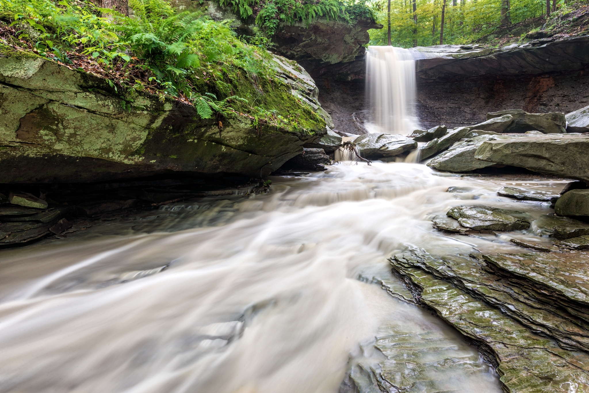 Nikon D610 + Tokina AT-X 17-35mm F4 Pro FX sample photo. Blue hen falls photography