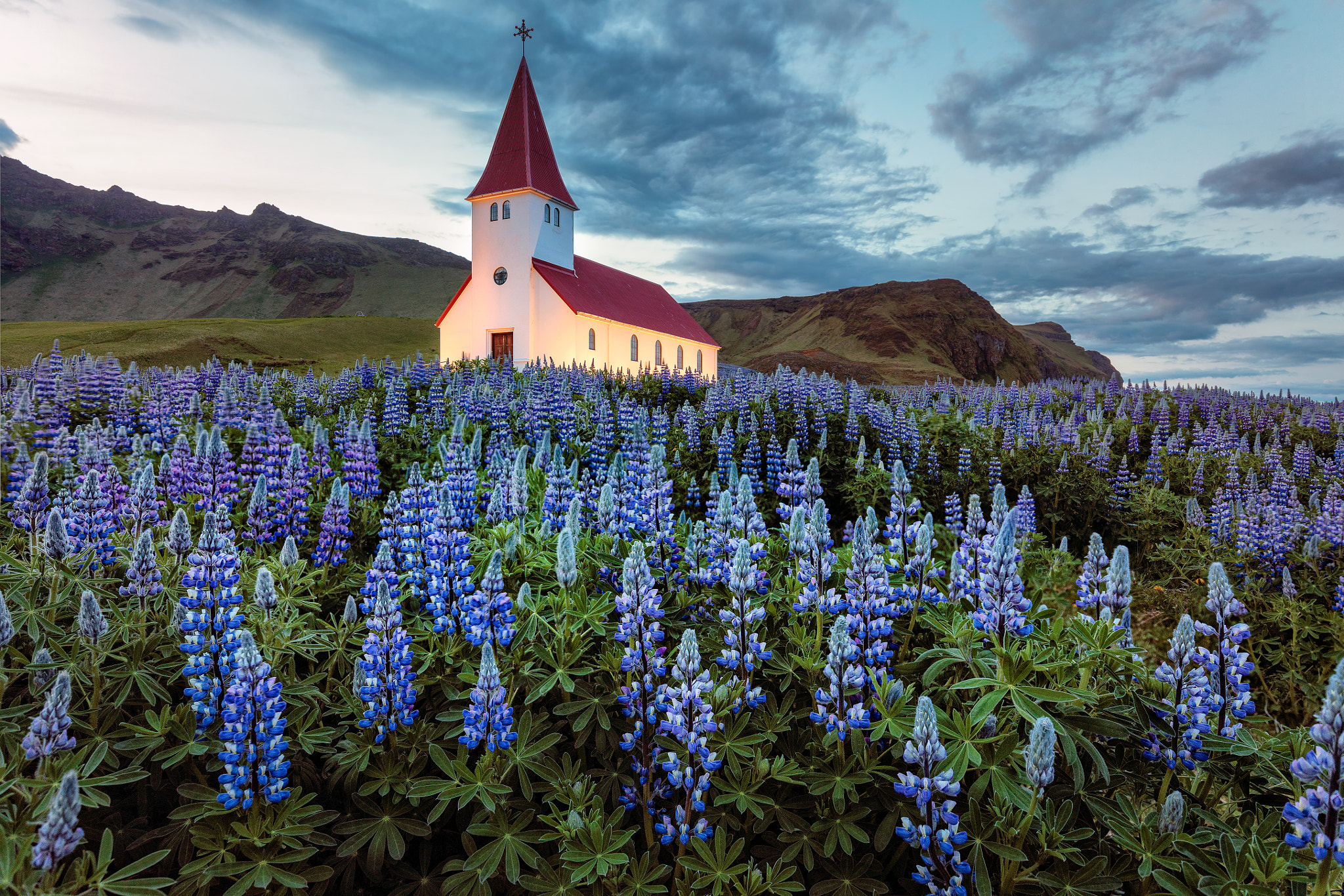 Canon EOS 5DS R sample photo. Lupines at the church photography