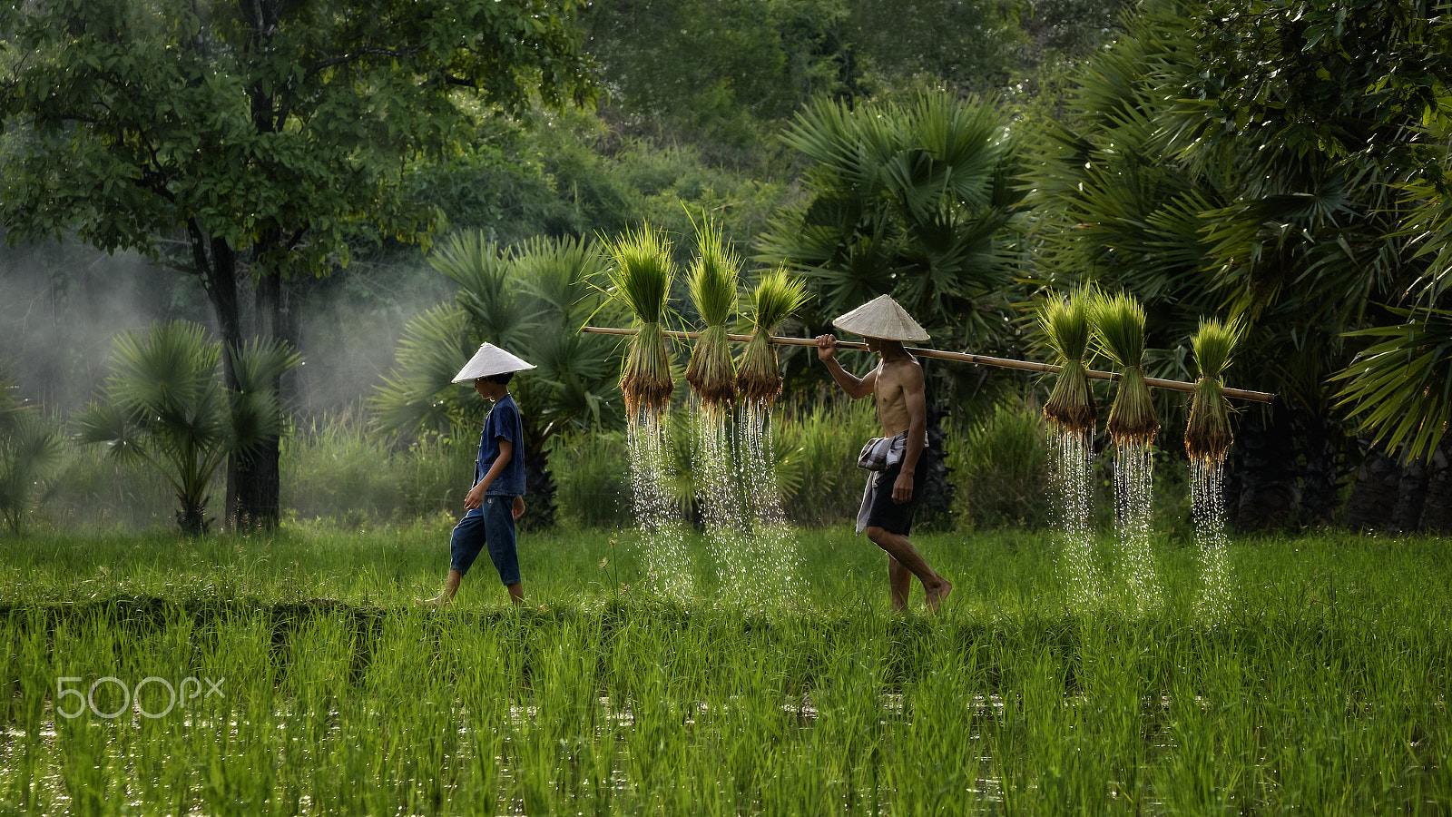 Fujifilm X-E2 sample photo. Farmer holding the rice seedling with daugther photography