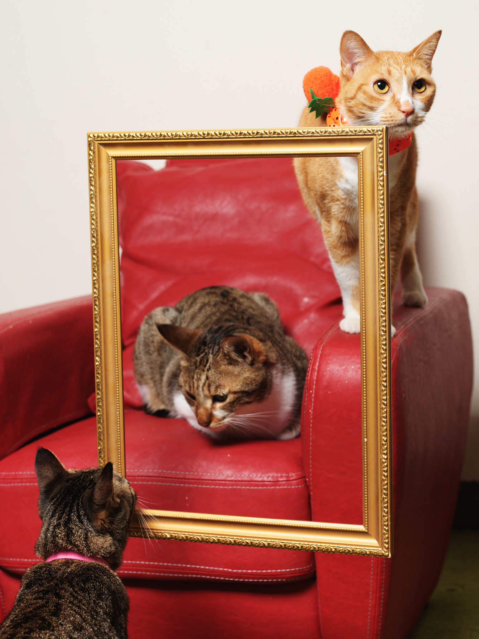 smc PENTAX-FA 645 75mm F2.8 sample photo. Hi, mirror photography