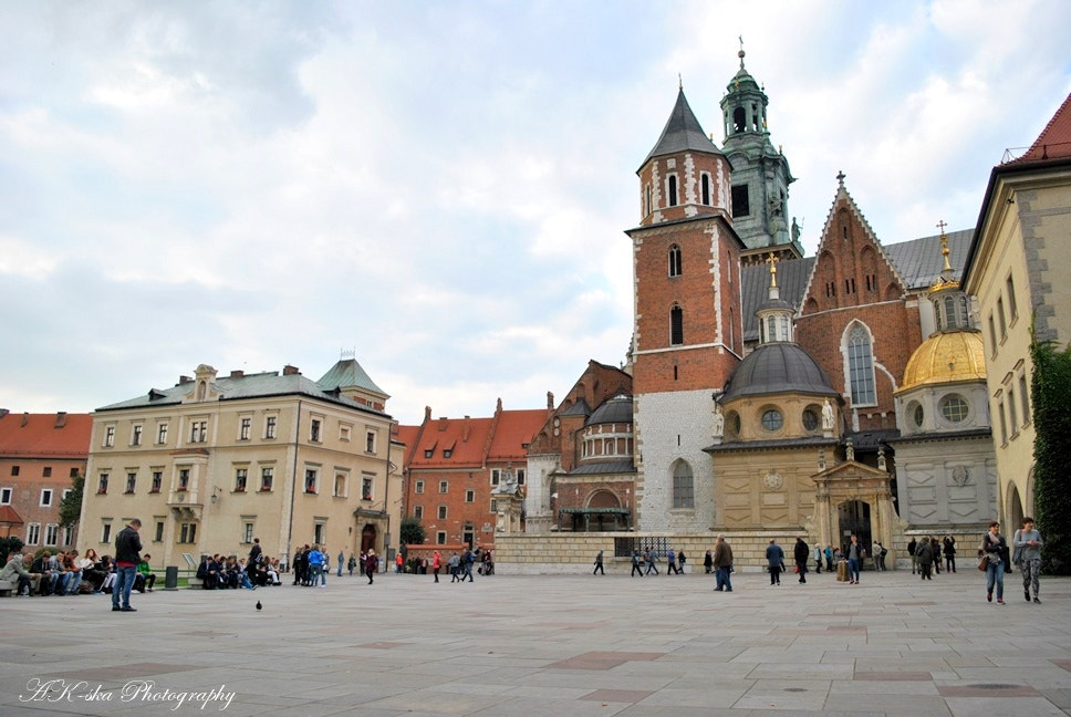 Nikon D3000 sample photo. A royal castle "wawel" photography