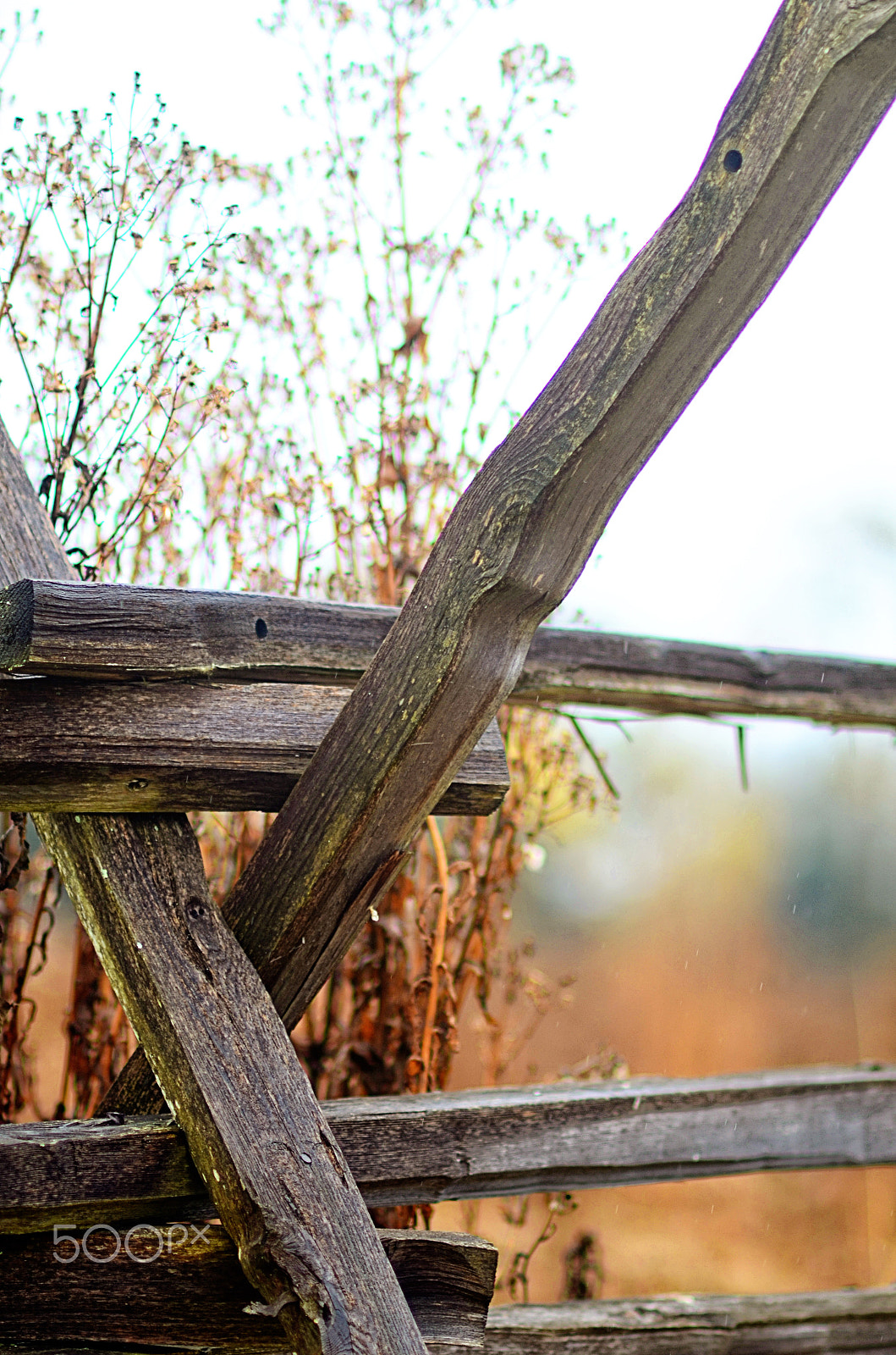 Nikon D7000 sample photo. Autumn fences photography