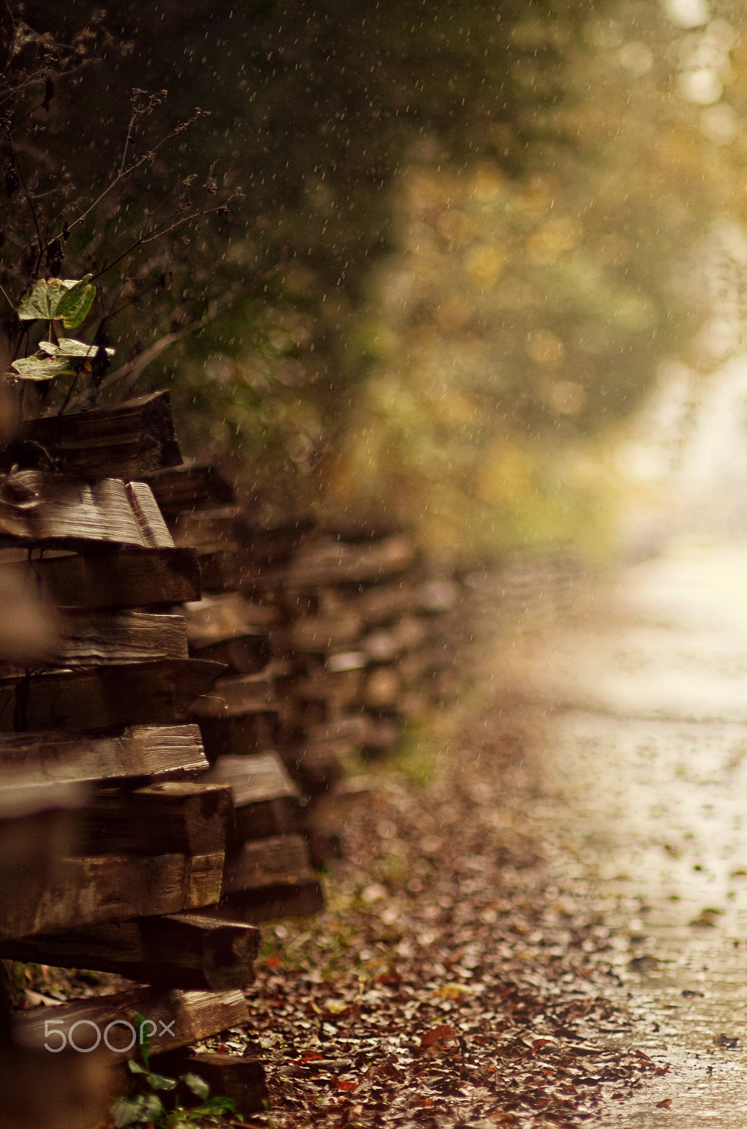 Nikon D7000 sample photo. Autumn fences photography