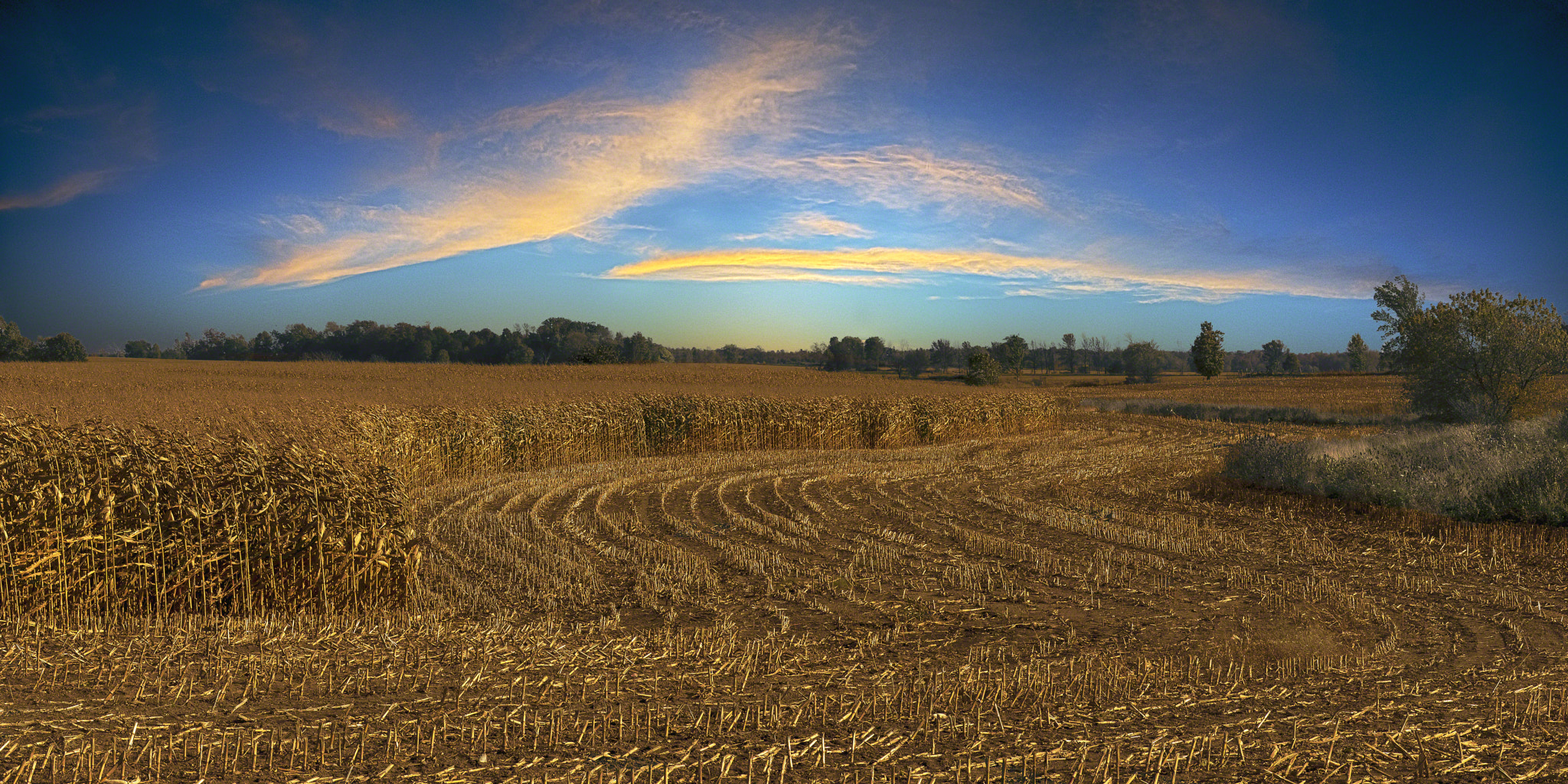 Pentax K-5 sample photo. Farmer's wisdom photography