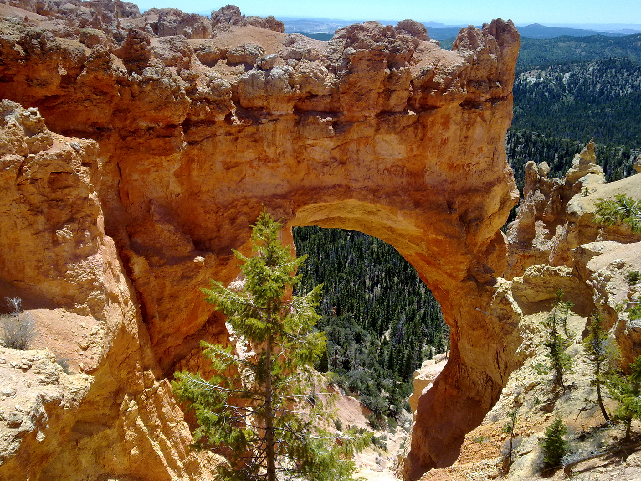 Nokia N97 sample photo. Arch in bryce canyon photography