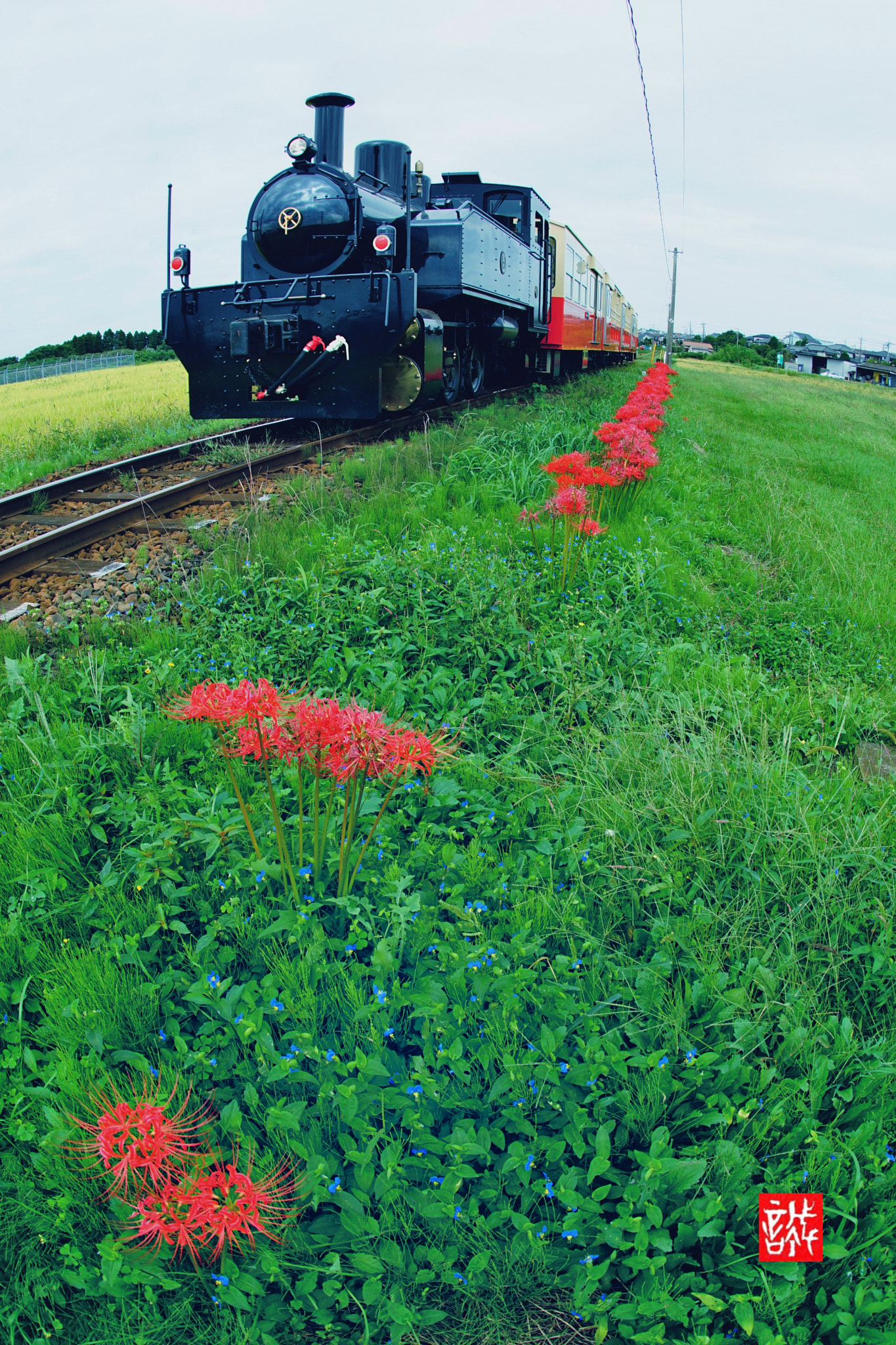 Sony a7 II + Sony 16mm F2.8 Fisheye sample photo. Trolley train photography