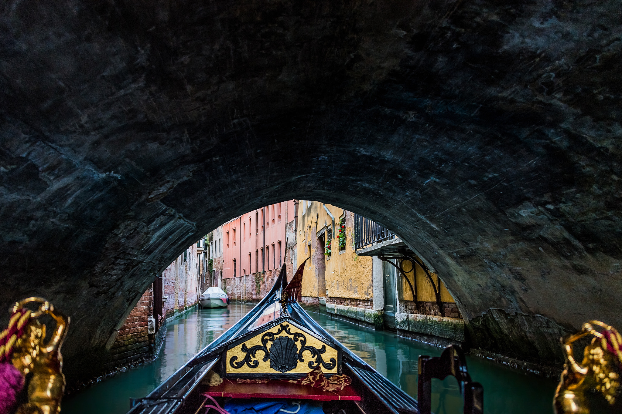 Nikon D5 sample photo. Venice ... photography