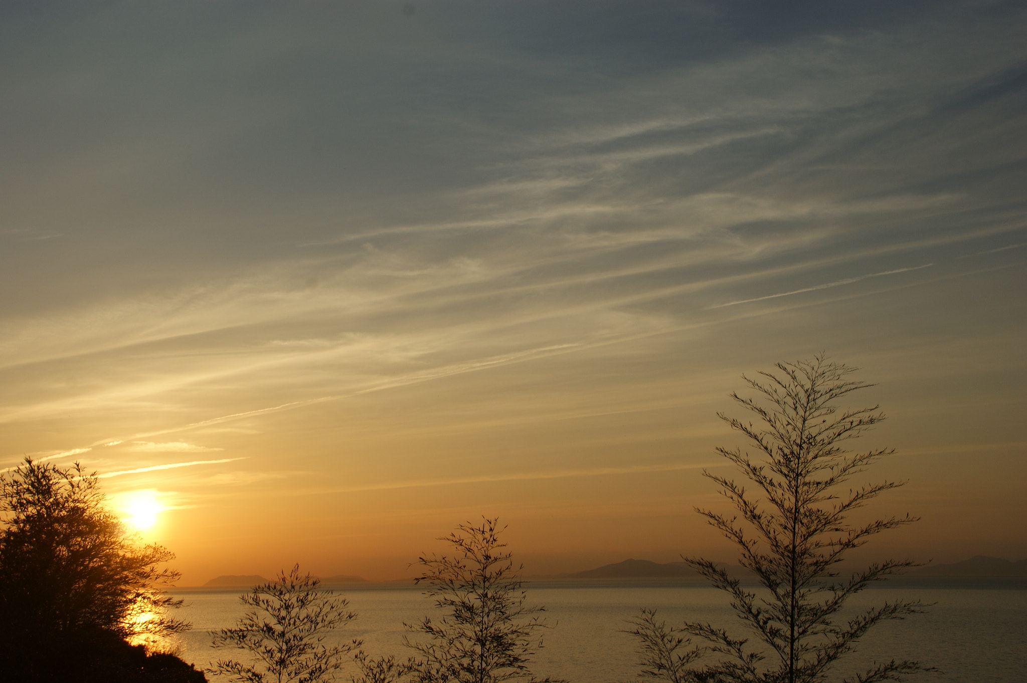 Sony DT 18-200mm F3.5-6.3 sample photo. Untitled photography