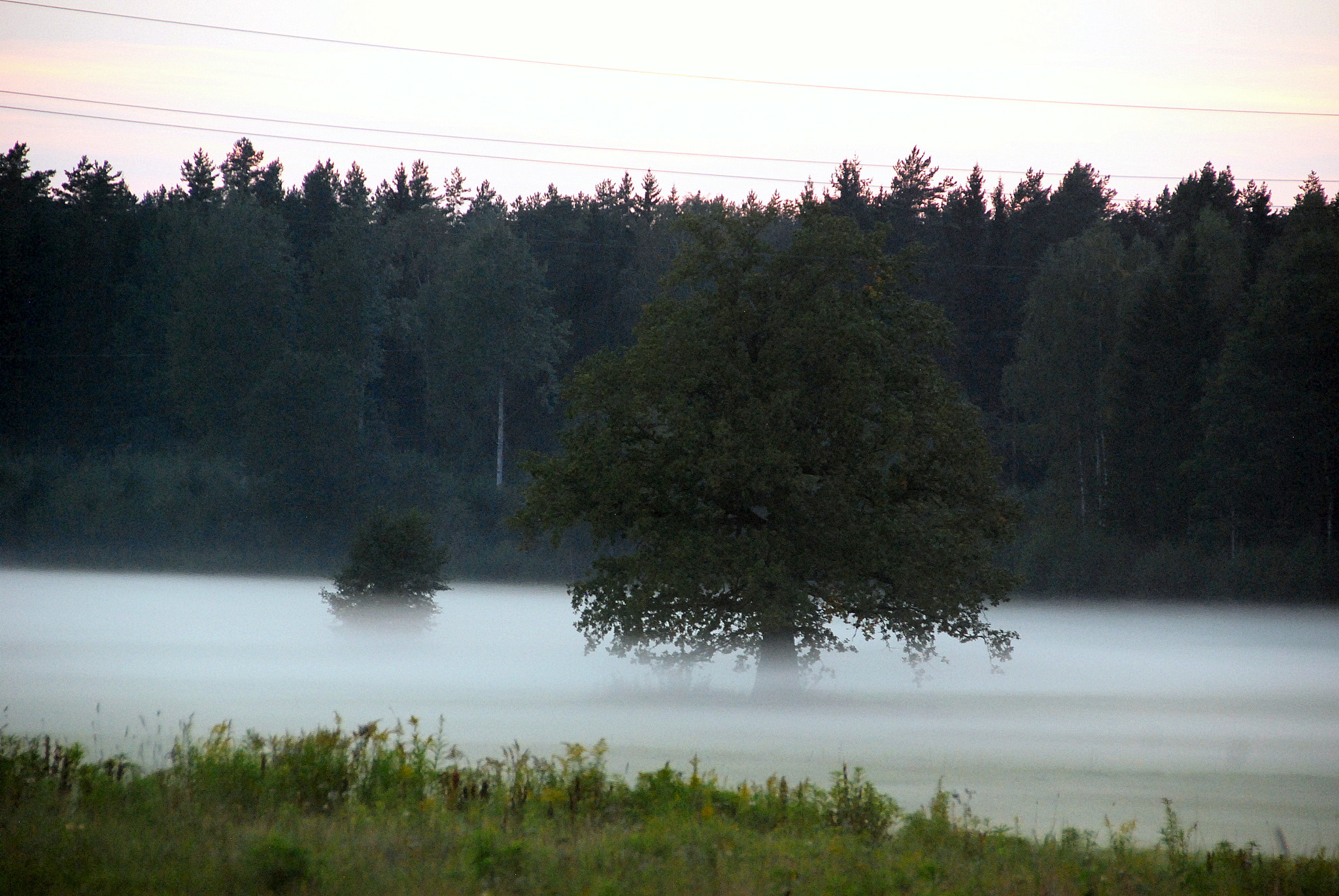 Nikon D40X sample photo. Ozols photography