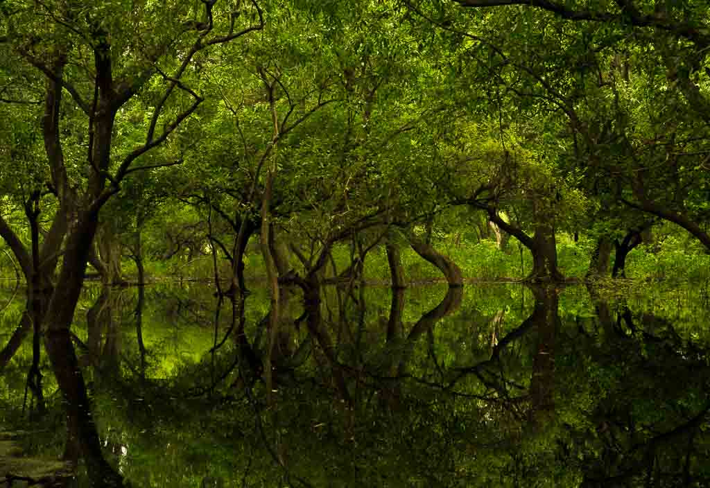 Nikon D3S sample photo. Reflections photography