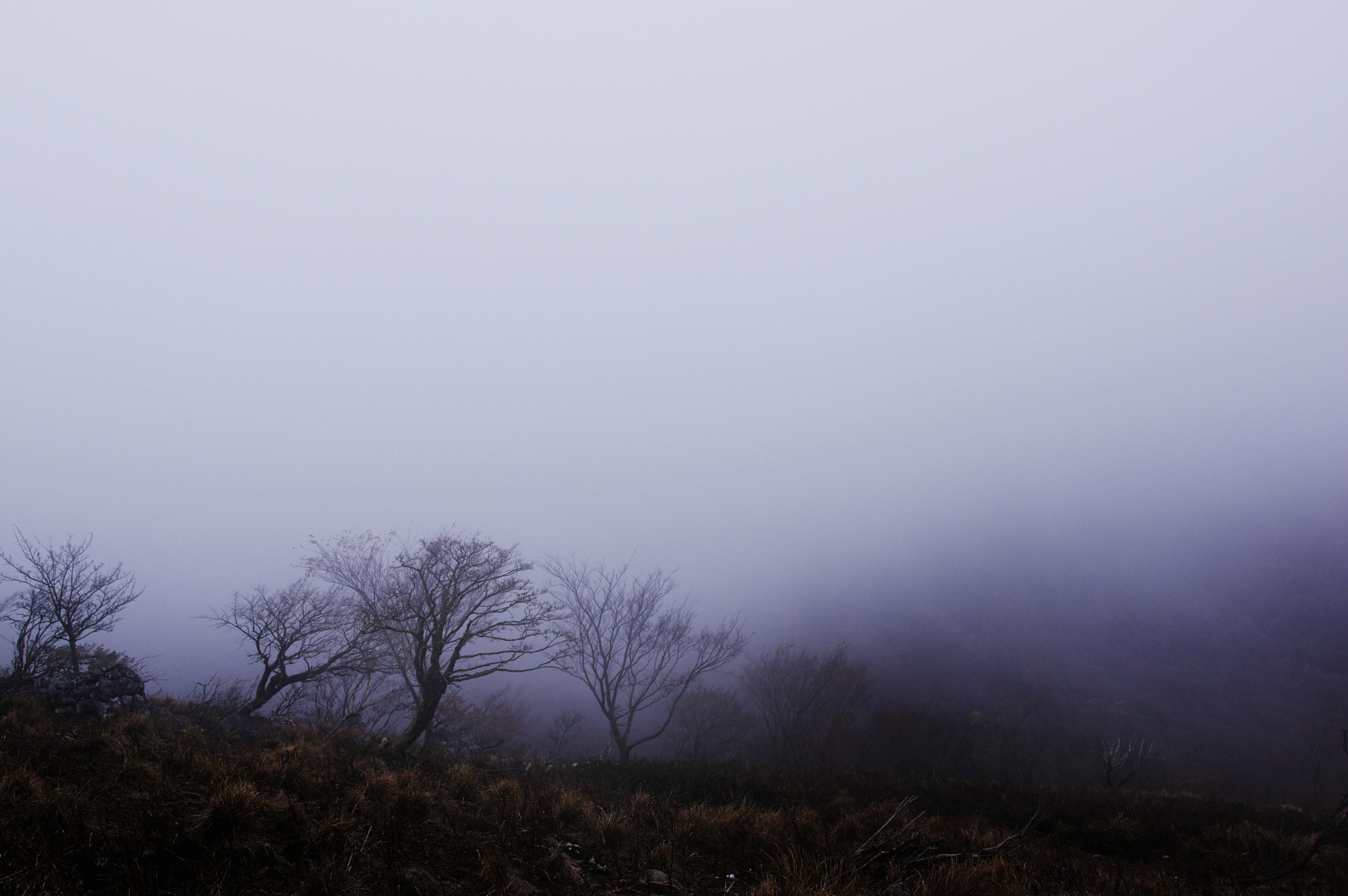 Pentax K-3 sample photo. Mt. ryozen / shiga prefecture photography