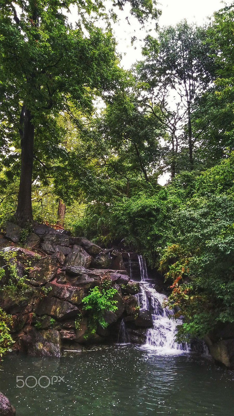 LG G STYLO sample photo. Freedom photography