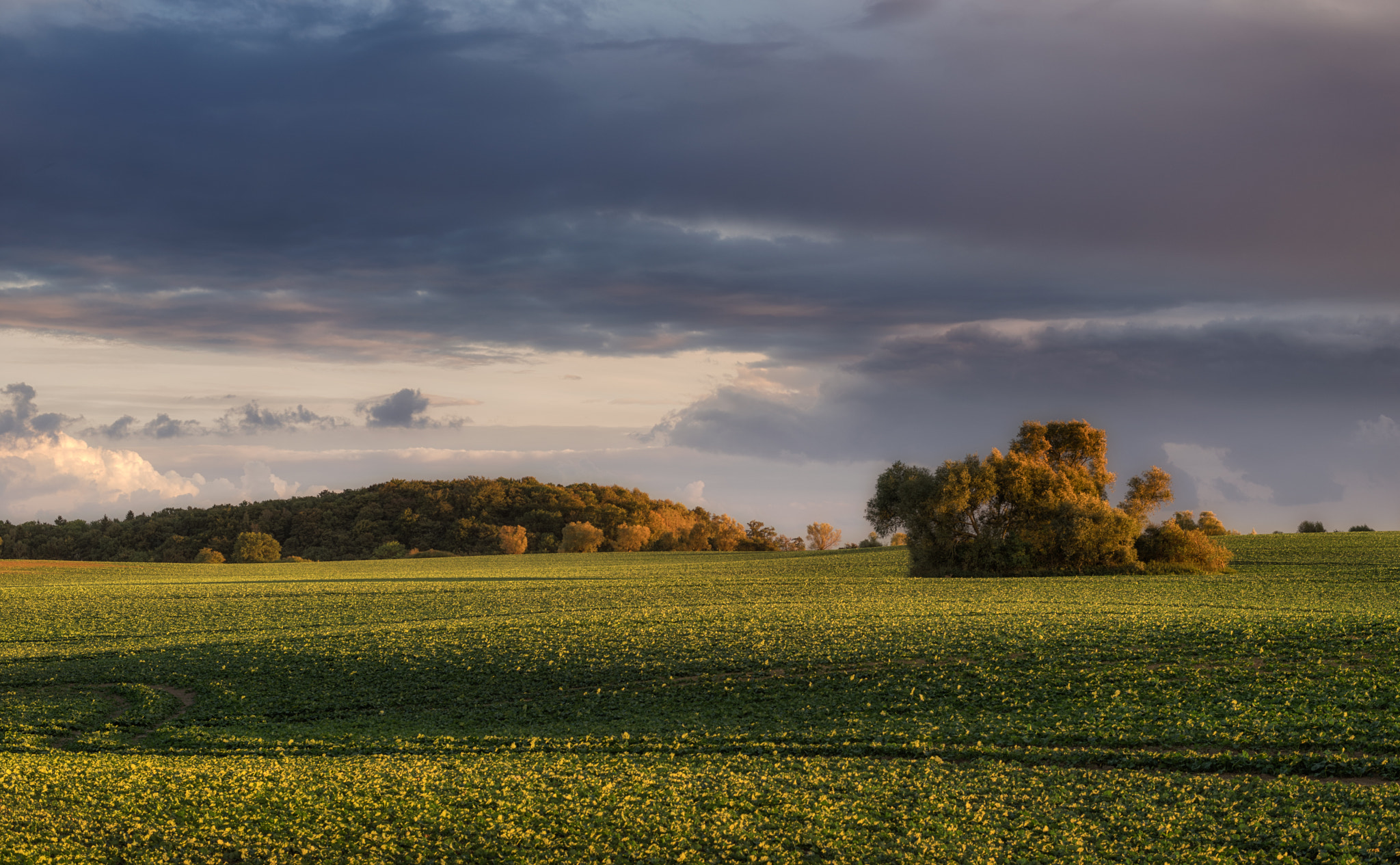 Pentax K-1 + Pentax smc DA* 55mm F1.4 SDM sample photo. Rural autumn evening photography