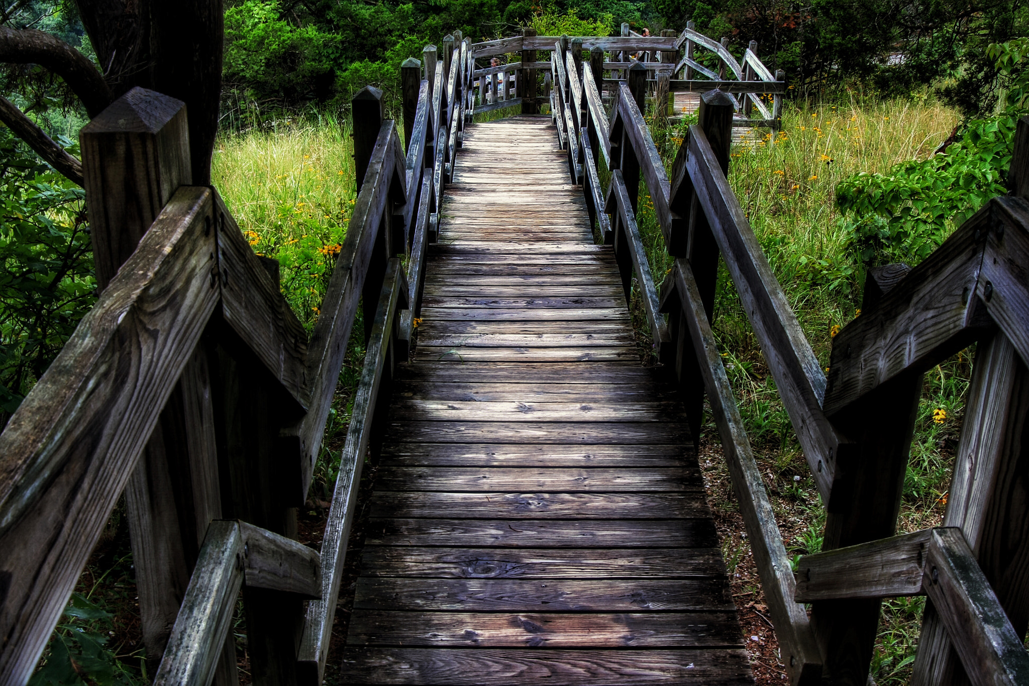 Tamron AF 28-200mm F3.8-5.6 XR Di Aspherical (IF) Macro sample photo. Wooden walkway and steps at ha ha tonka photography