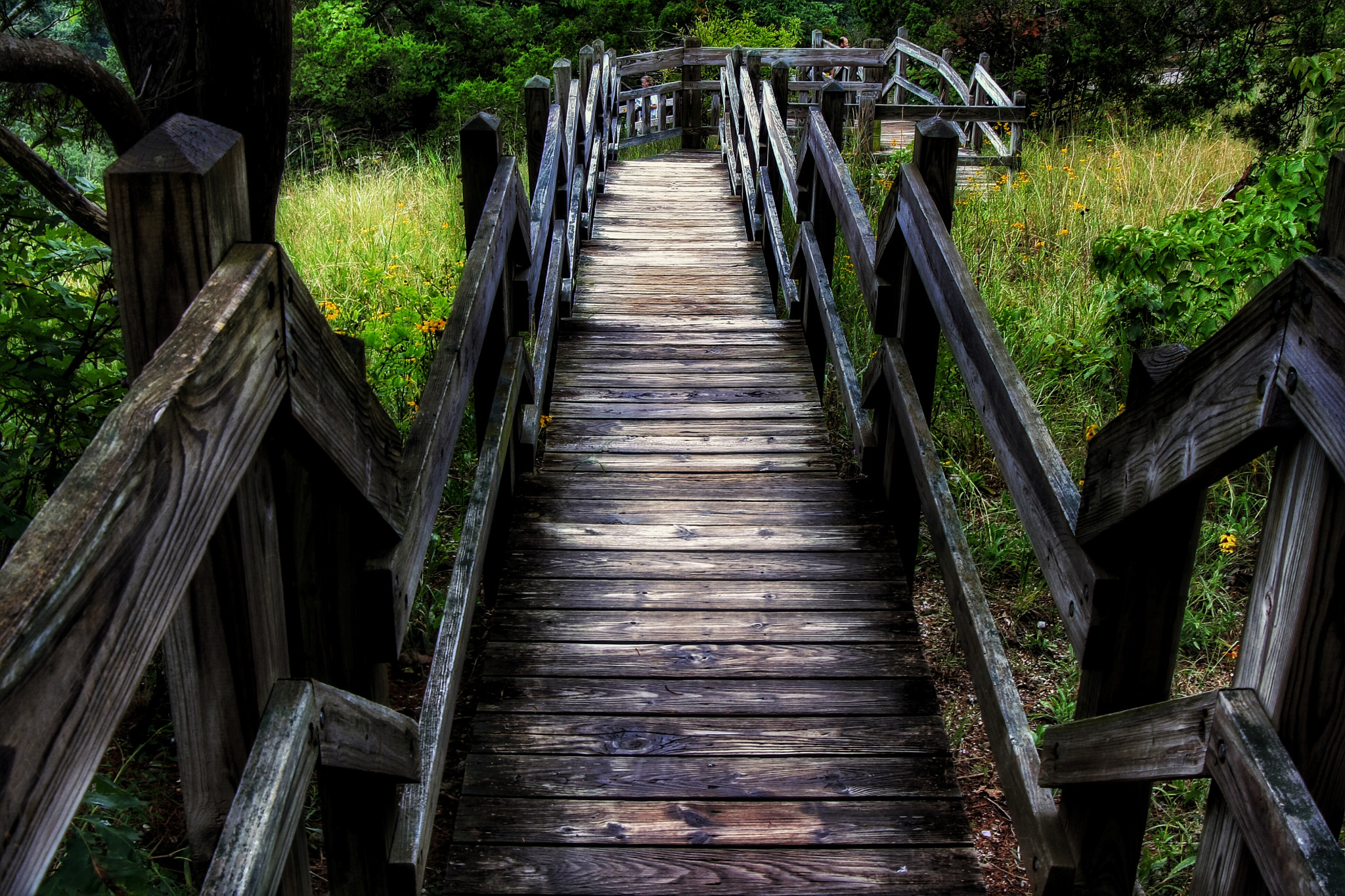 Canon EOS 1000D (EOS Digital Rebel XS / EOS Kiss F) + Tamron AF 28-200mm F3.8-5.6 XR Di Aspherical (IF) Macro sample photo. Wooden walkway and steps at ha ha tonka photography