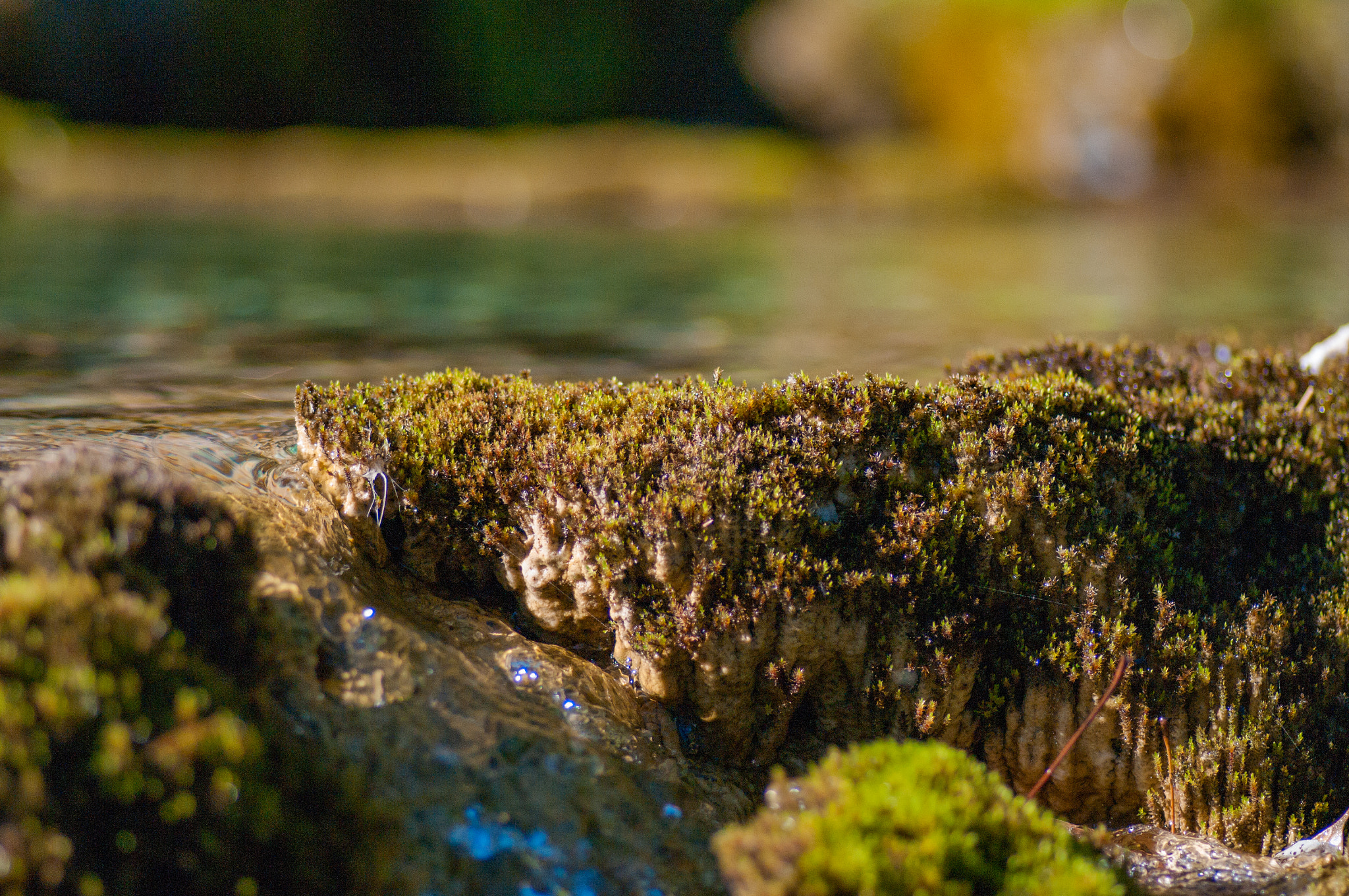 Pentax smc D-FA 100mm F2.8 Macro WR sample photo. Micro waterfall photography