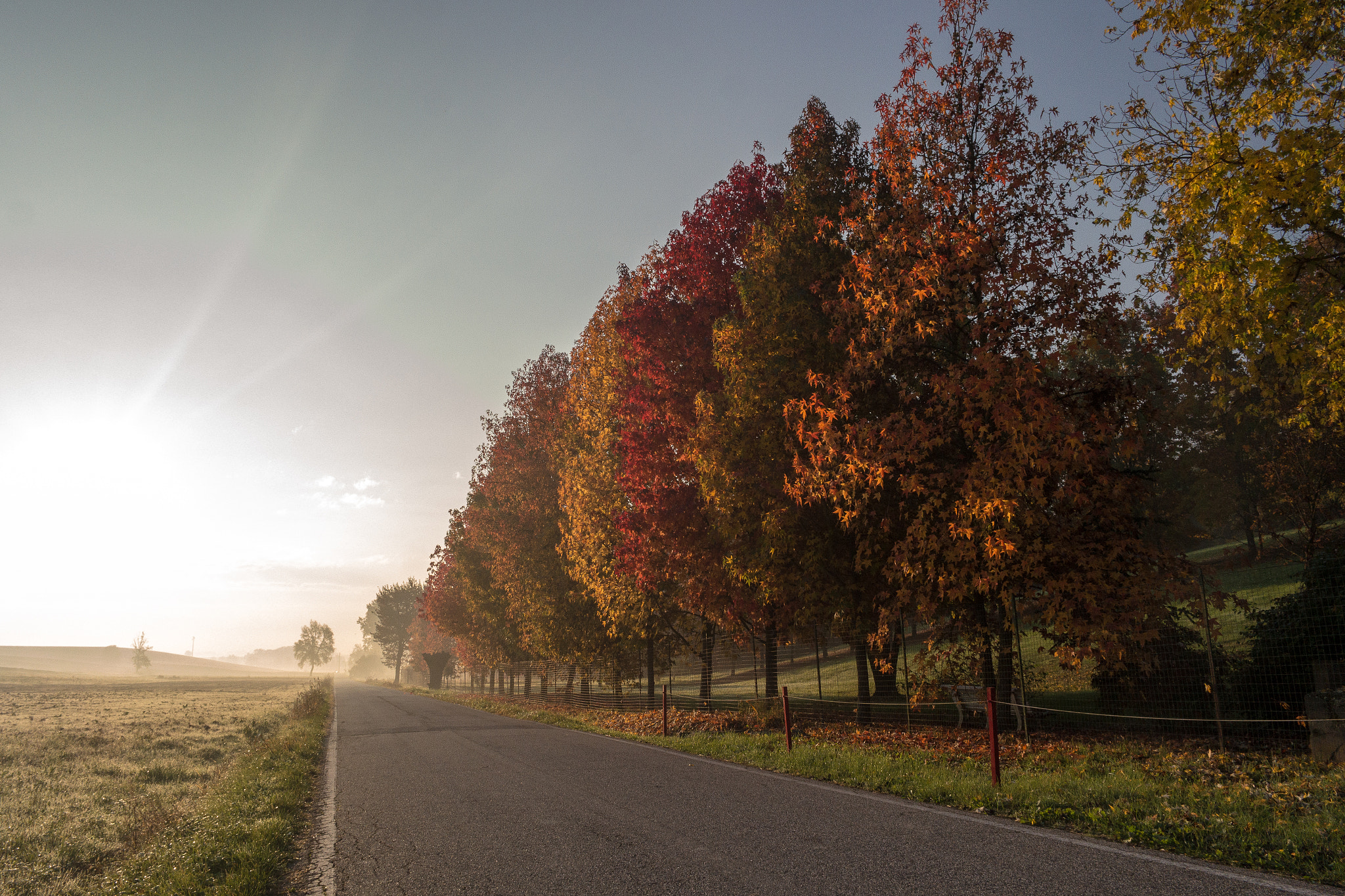 Samsung NX1100 sample photo. Sunrise photography