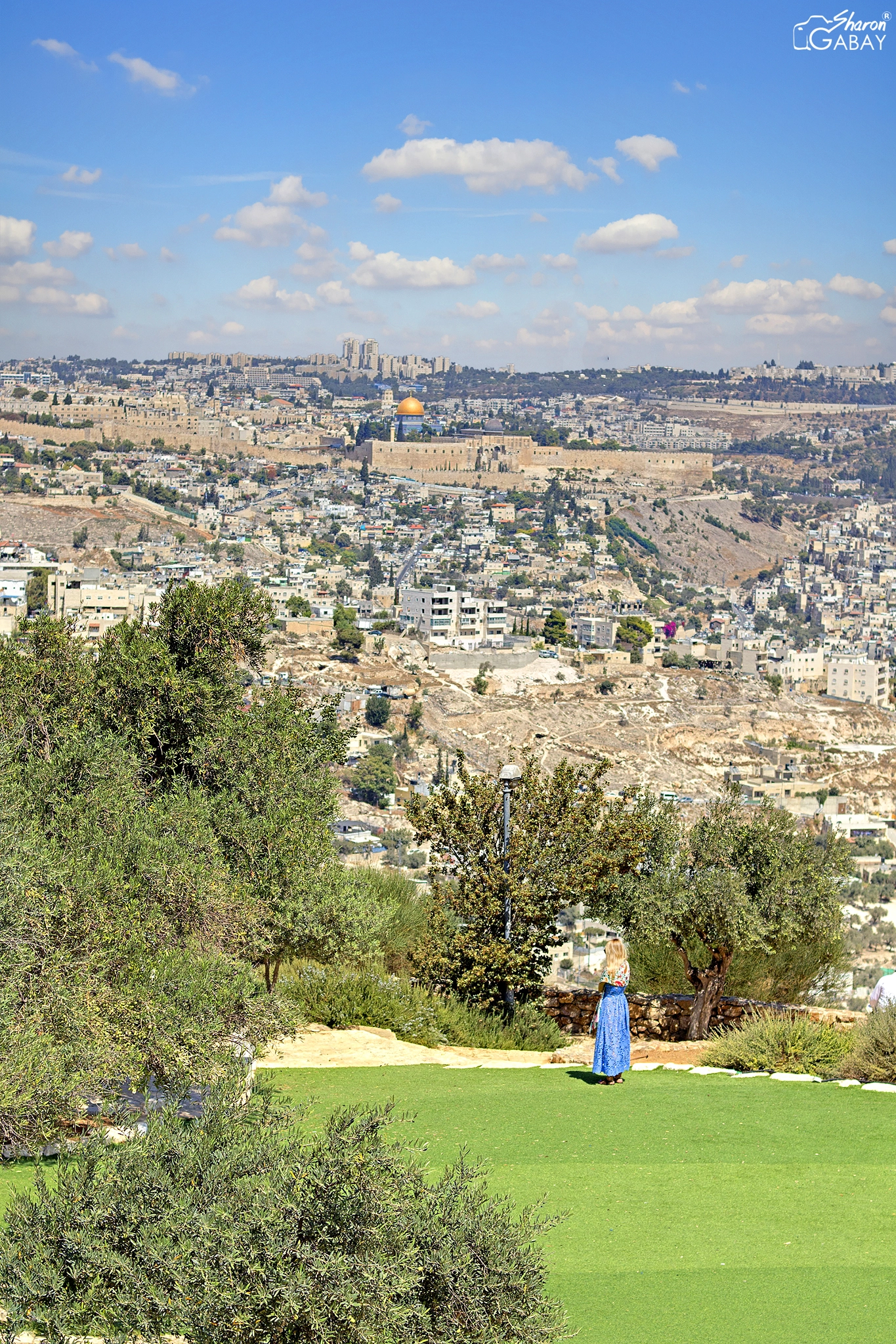 Canon EF 50mm F1.4 USM sample photo. The temple mount in jerusalem israel ✡ photography