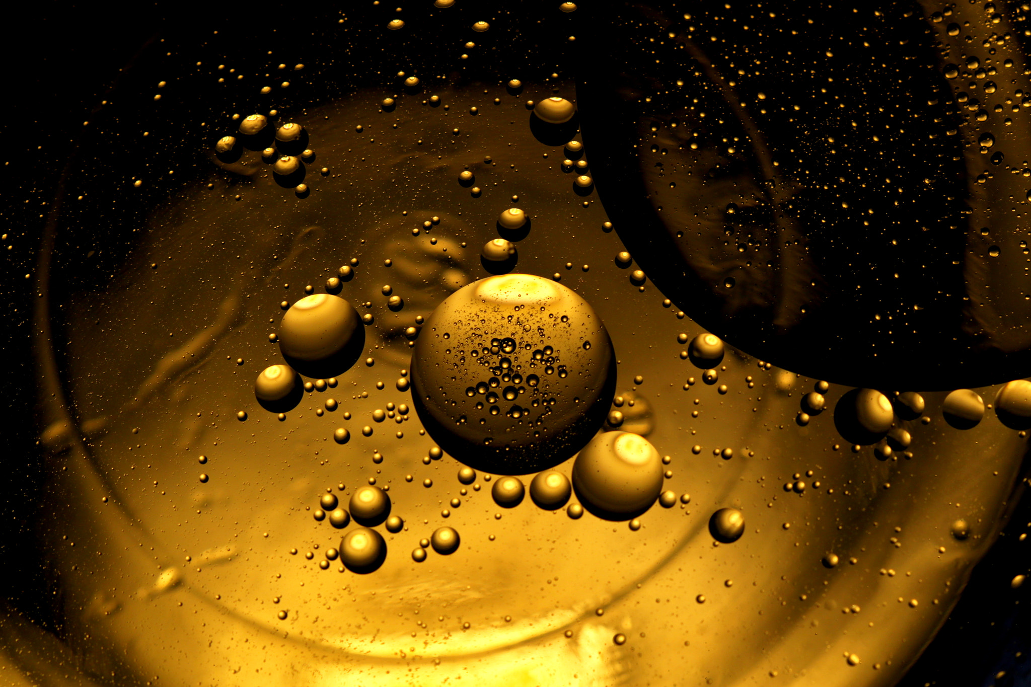 Canon EF 100mm F2.8 Macro USM sample photo. Oil + water photography