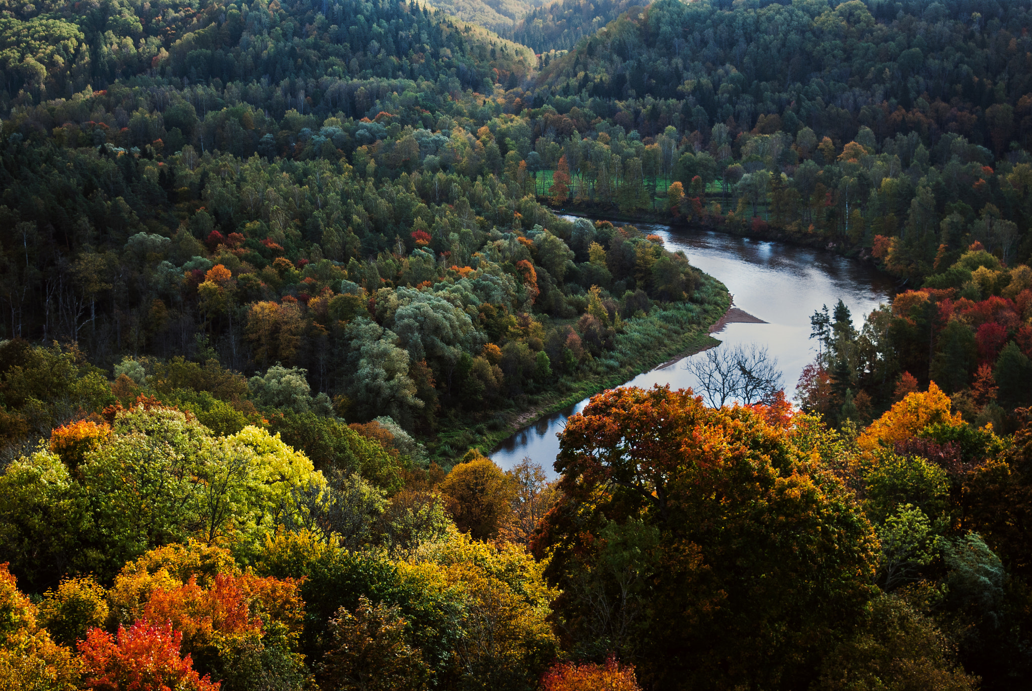 Nikon D80 sample photo. Autumn photography