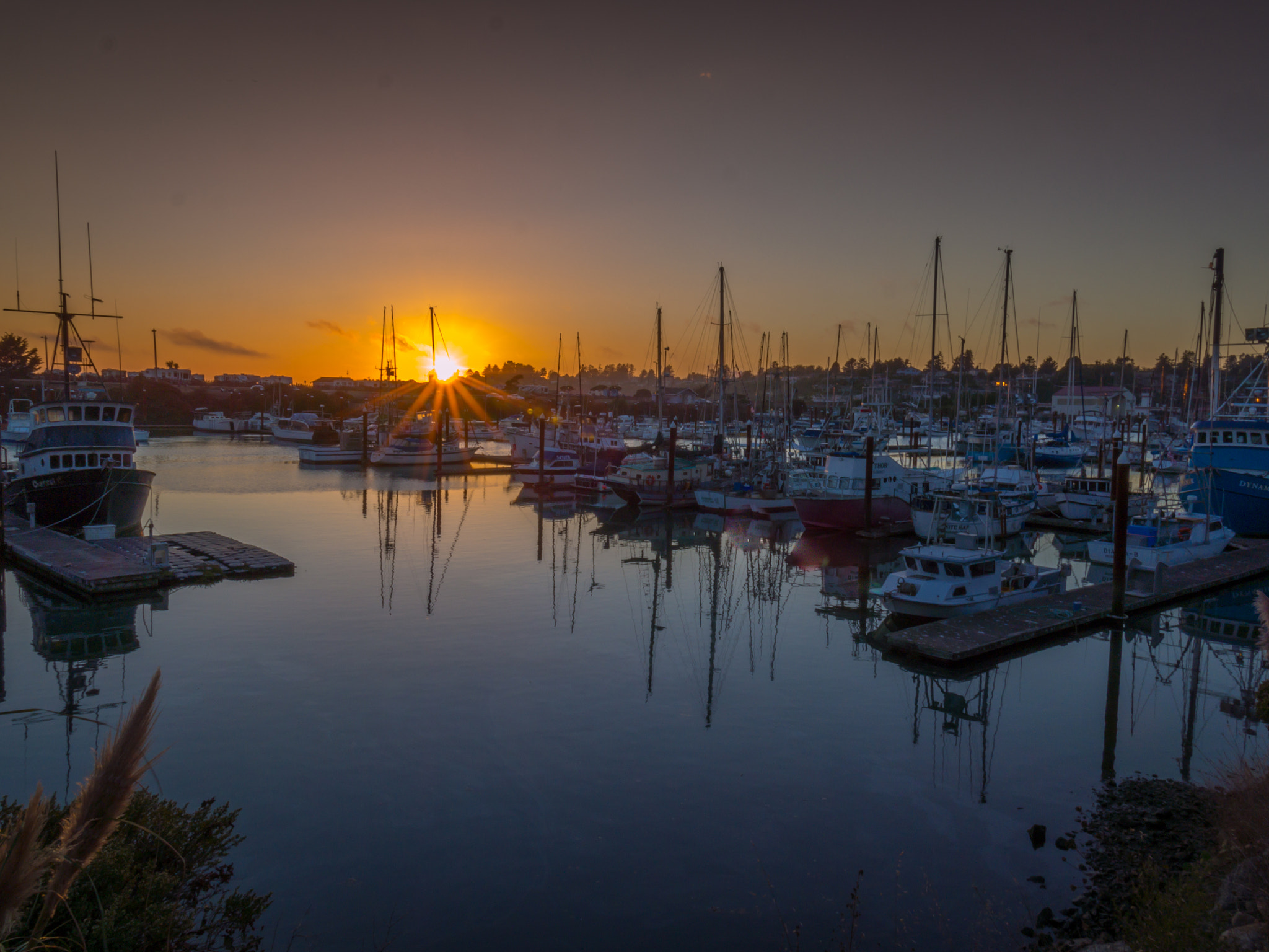 Olympus OM-D E-M5 + Olympus M.Zuiko Digital ED 7-14mm F2.8 PRO sample photo. Brookings harbor at sunset photography