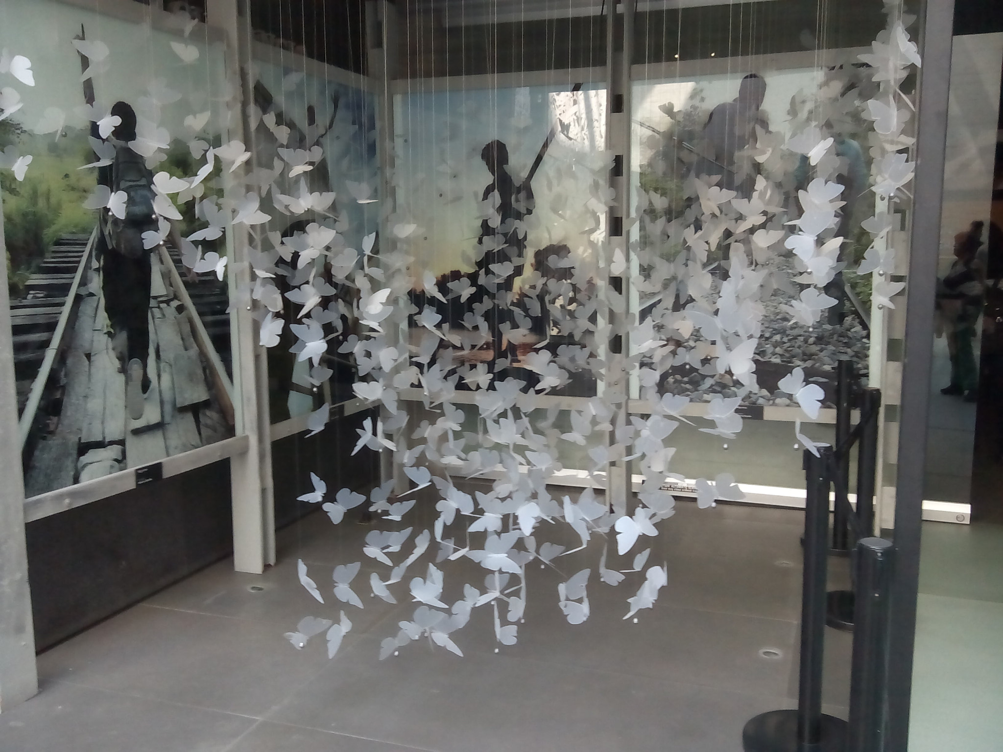 ZTE BLADE L2 sample photo. Butterfly photography