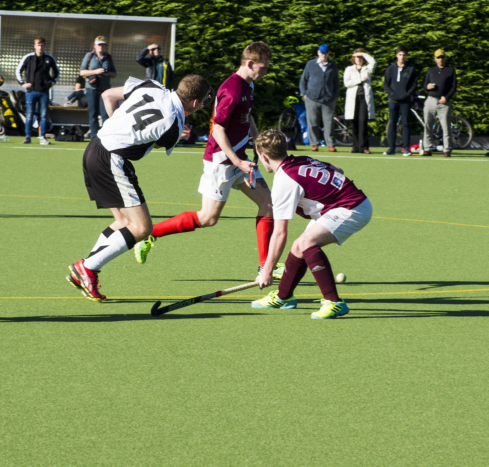 Sony Alpha DSLR-A450 sample photo. Hockey match photography