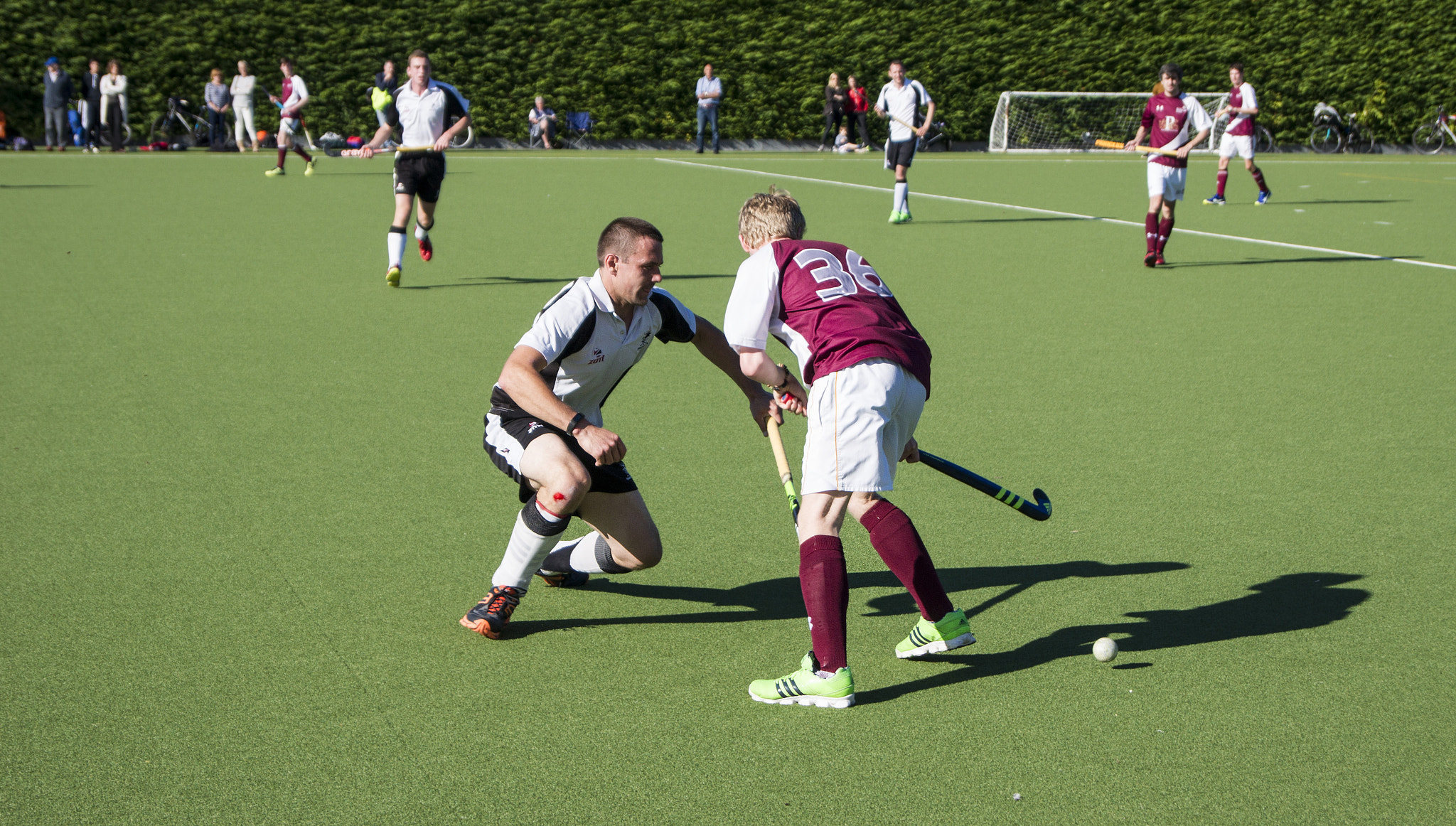 Sony Alpha DSLR-A450 + Sony DT 18-55mm F3.5-5.6 SAM sample photo. Hockey match photography