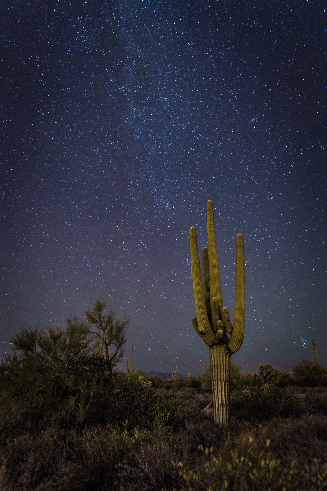 Nikon D5 + Nikon AF-S Nikkor 20mm F1.8G ED sample photo. Superstition mountain photography