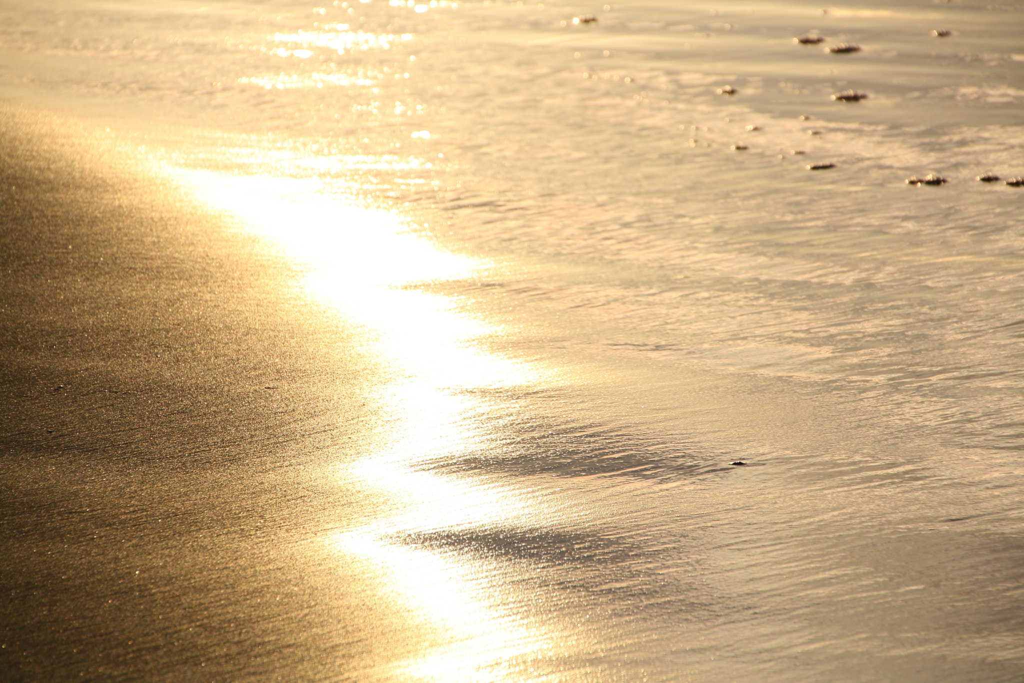 Canon EOS 1000D (EOS Digital Rebel XS / EOS Kiss F) sample photo. Golden sea photography