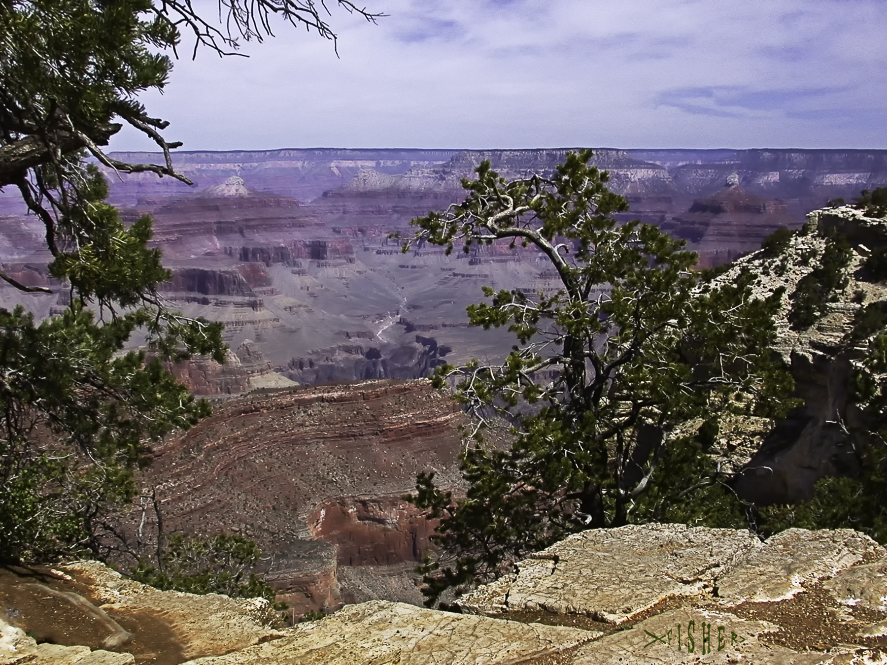 Nikon E995 sample photo. Grand canyon south rim photography