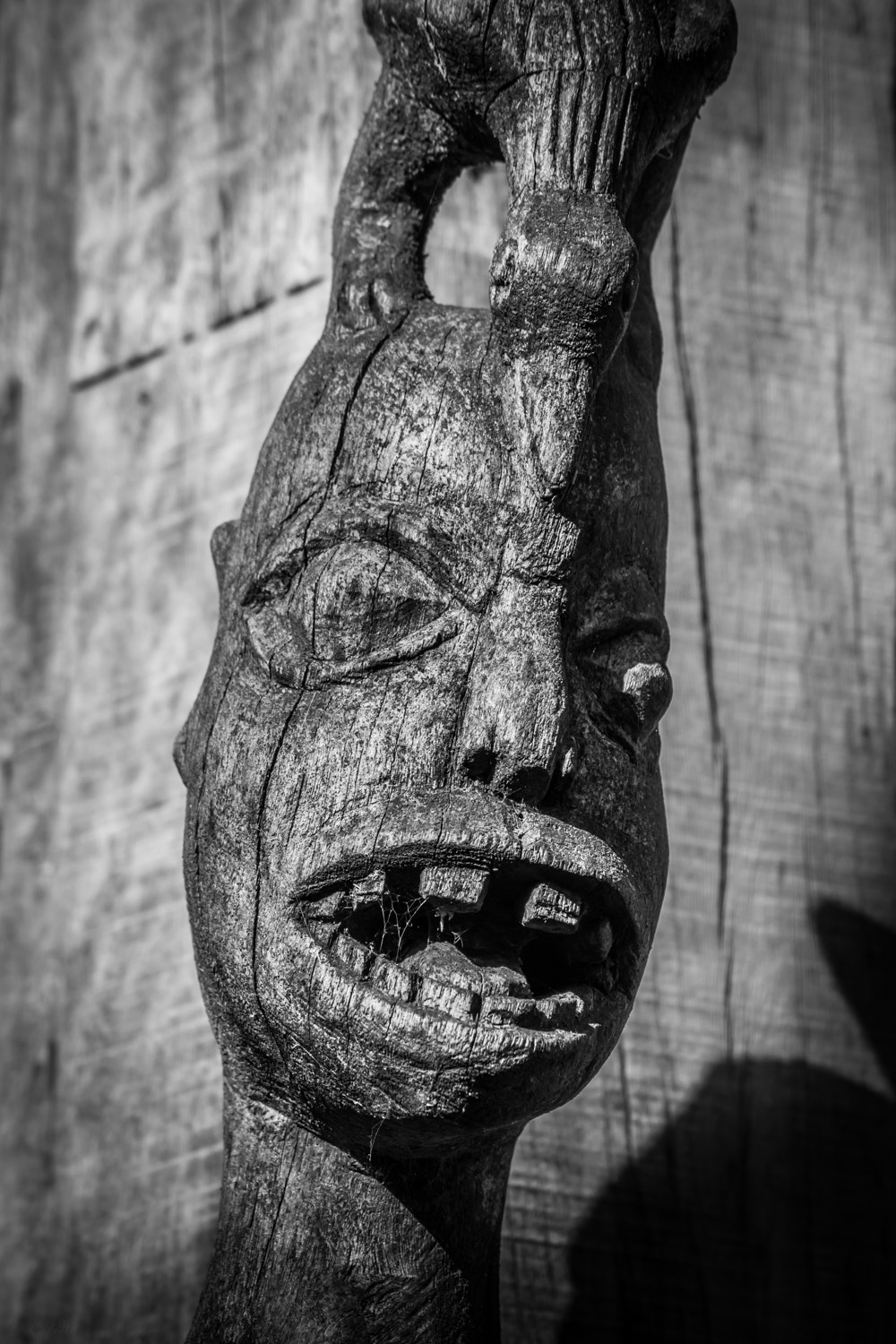 Sony SLT-A77 sample photo. A boogeyman with a bad teeth ;))) photography