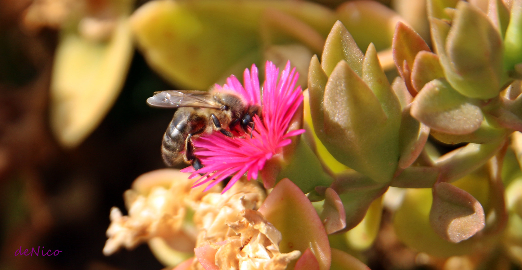Sigma 24-105mm f/4 DG OS HSM | A sample photo. Img photography