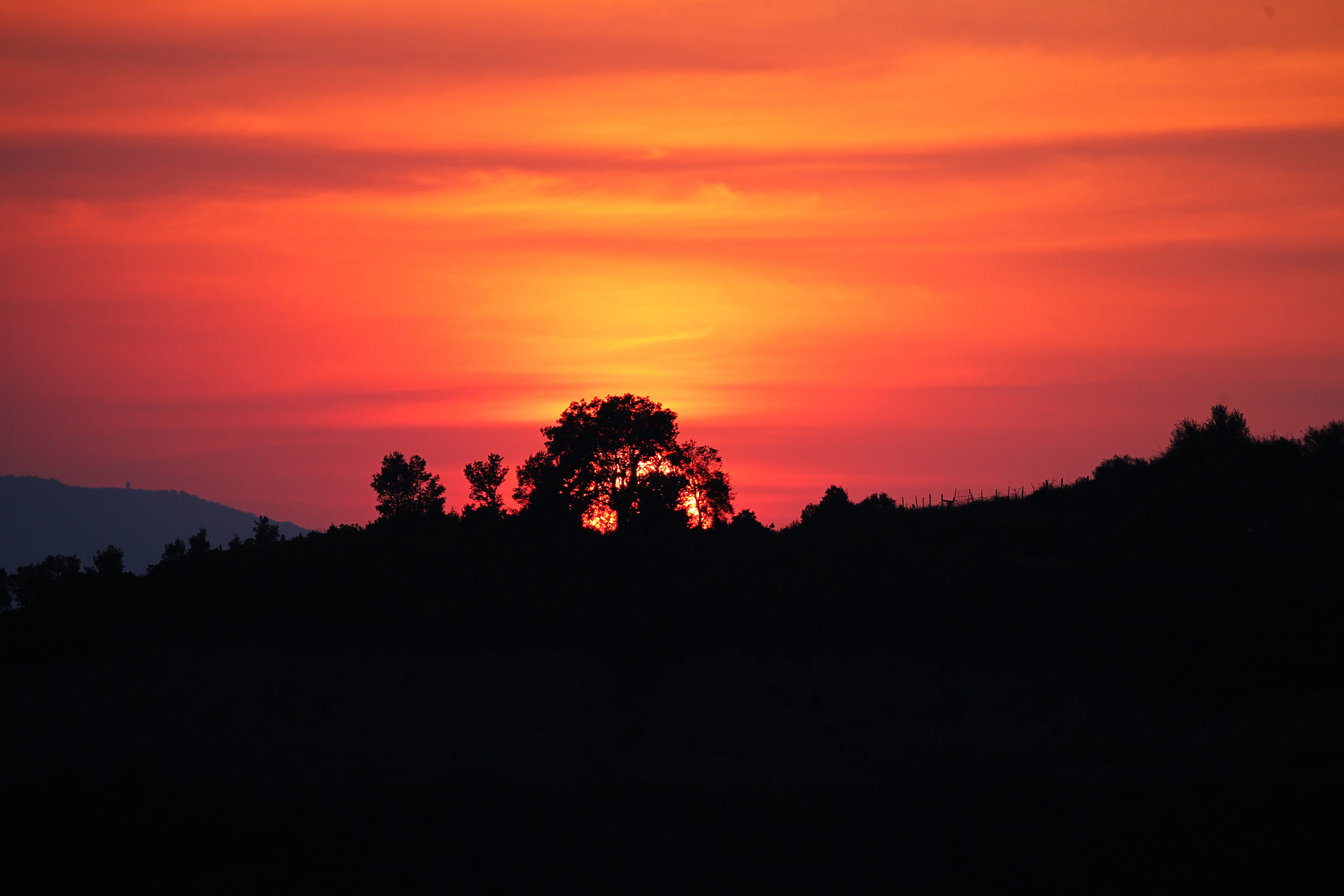 Canon EOS-1D Mark IV sample photo. Hidden sun photography