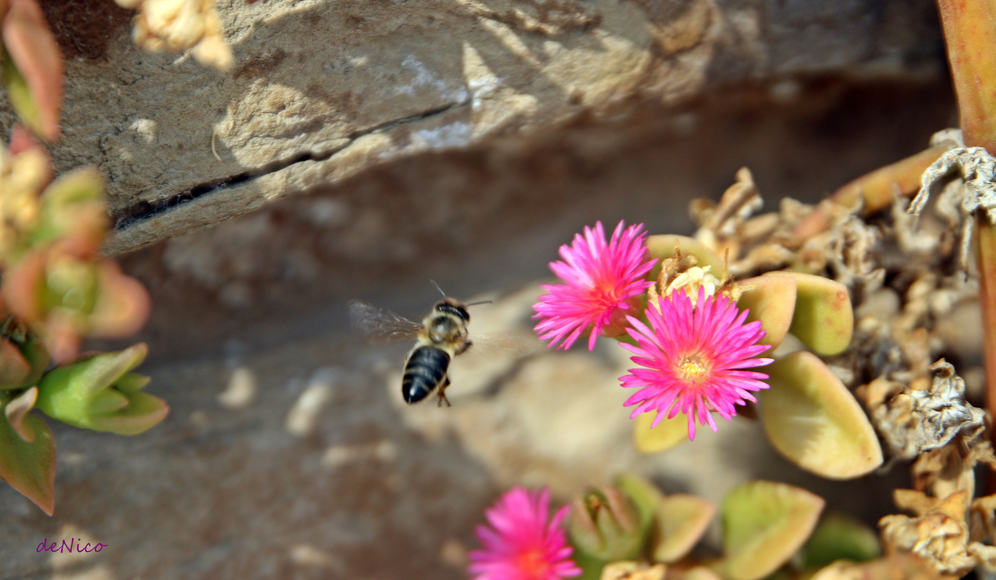 Sigma 24-105mm f/4 DG OS HSM | A sample photo. Img photography