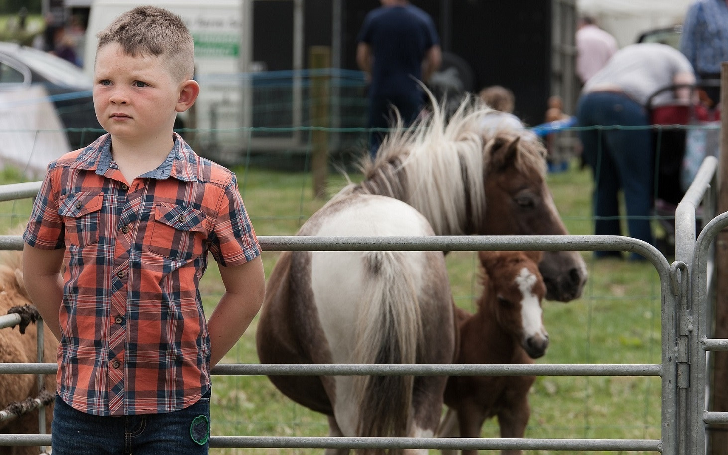 Canon EOS-1Ds Mark III + Canon EF 28-300mm F3.5-5.6L IS USM sample photo. Young boy minding his ponies at a fair in ireland photography