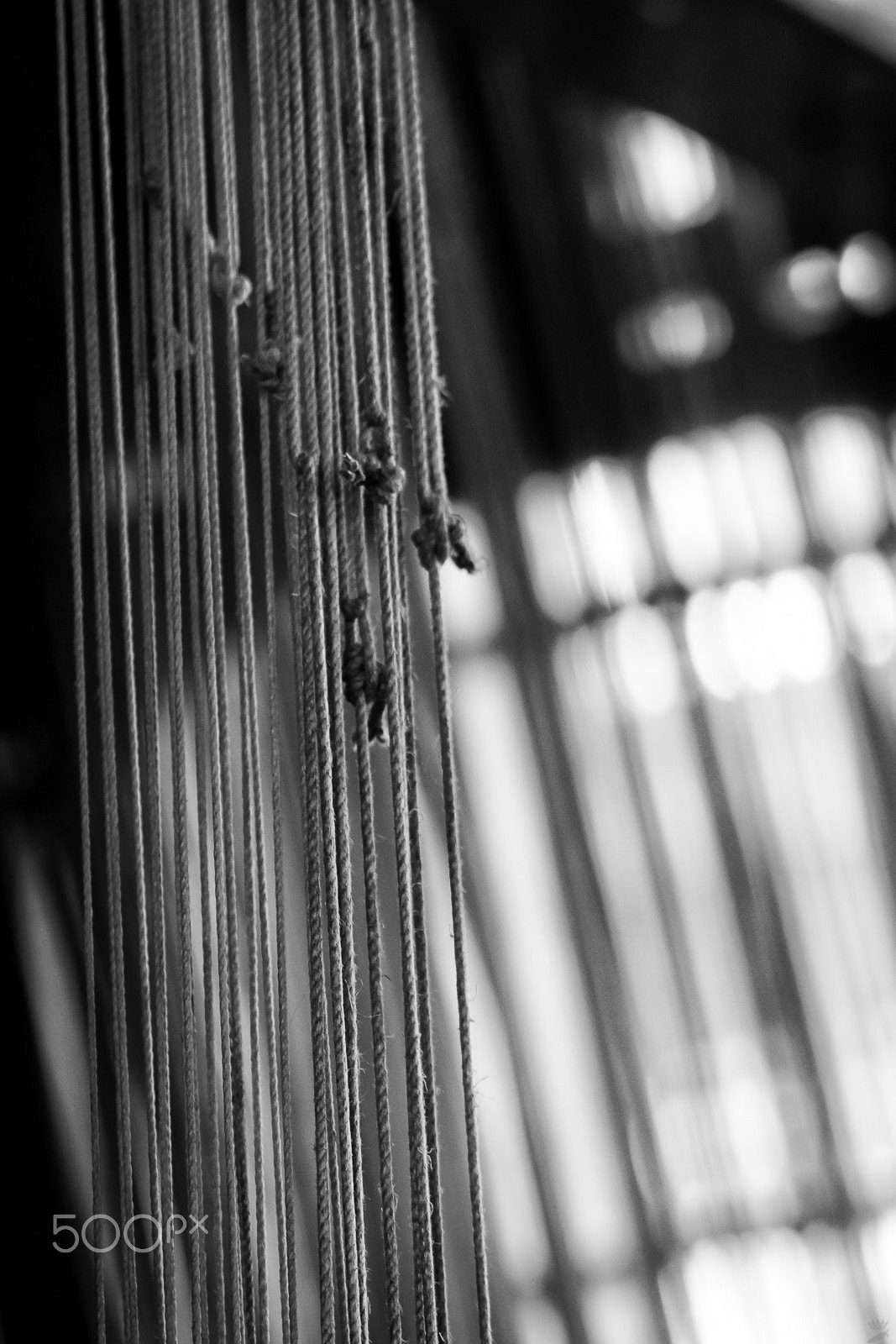 Sigma 105mm F2.8 EX DG OS HSM sample photo. Linked photography