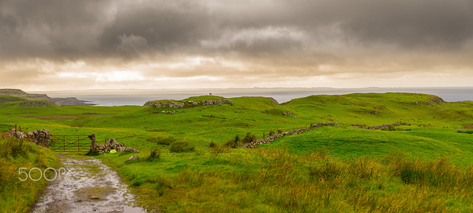Sony a7 + Sony FE 24-70mm F2.8 GM sample photo. Isle of mull landscape photography