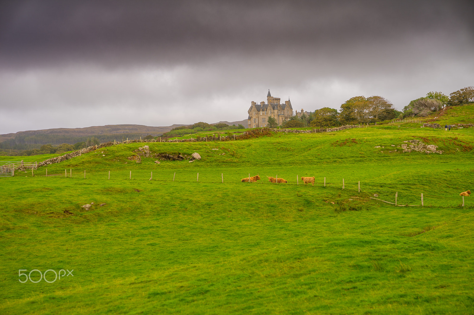 Sony a7 sample photo. Glengorm castle 1 photography