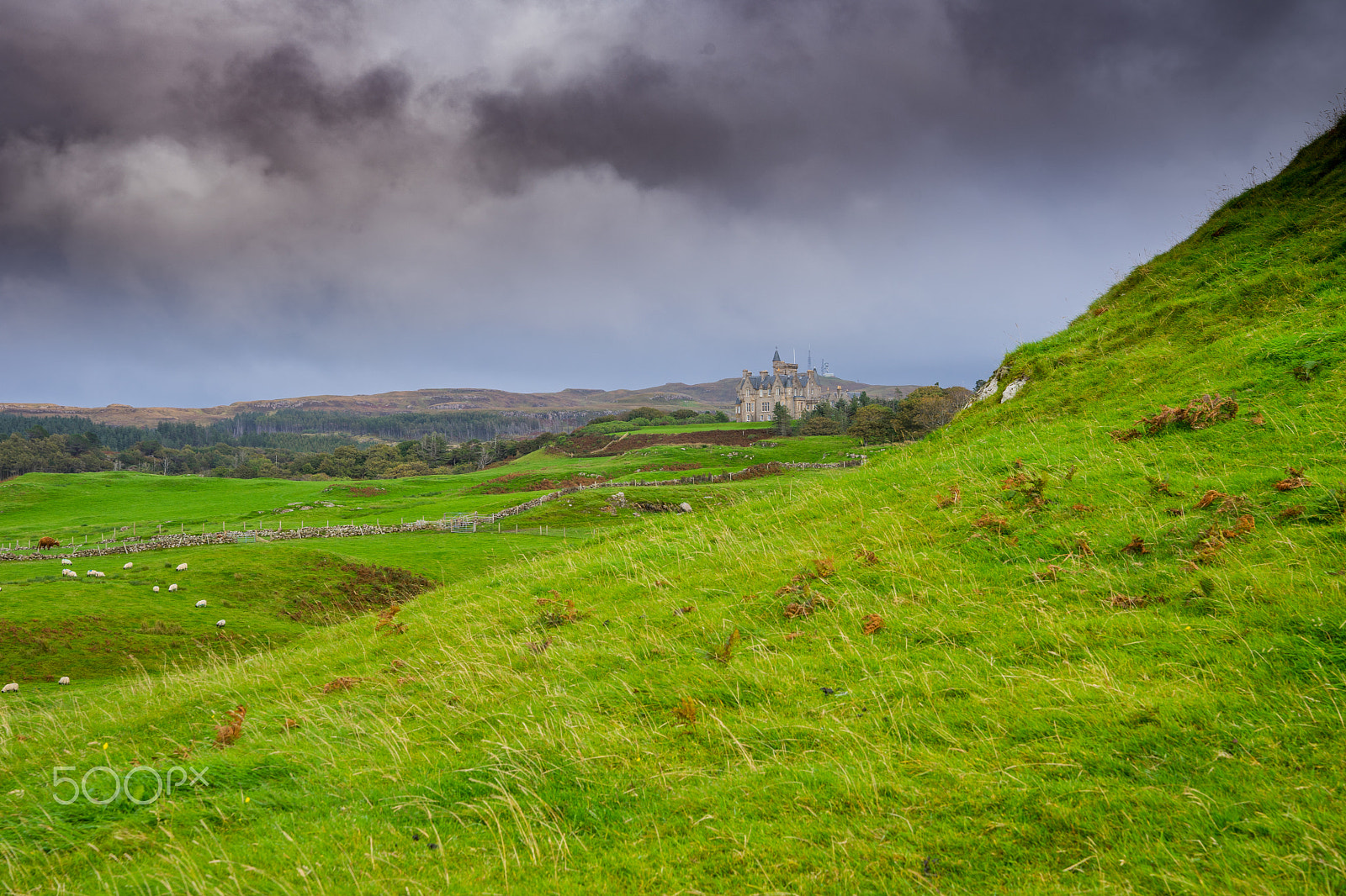 Sony a7 sample photo. Glengorm castle 3 photography