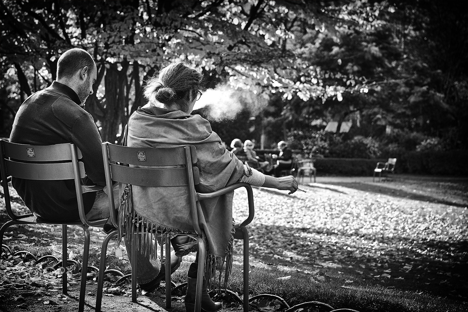 Sony Alpha a99 sample photo. Paris, 2015 photography