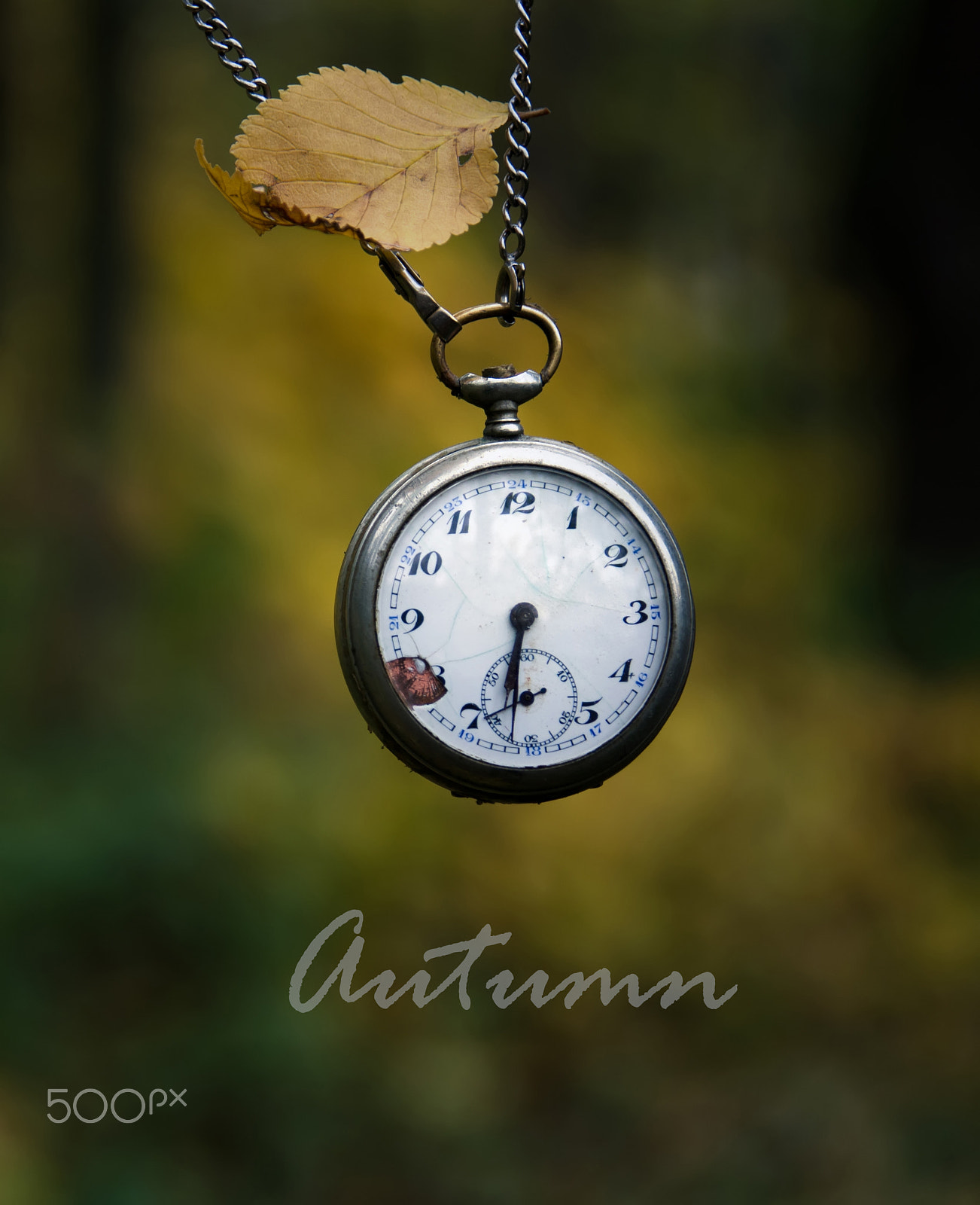 Nikon AF Nikkor 24-85mm F2.8-4D IF sample photo. Autumn text, park and old pocket watch photography
