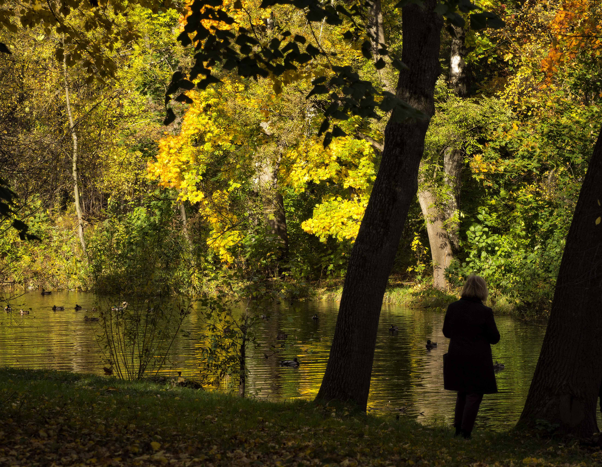 Olympus OM-D E-M5 sample photo. At the pond photography