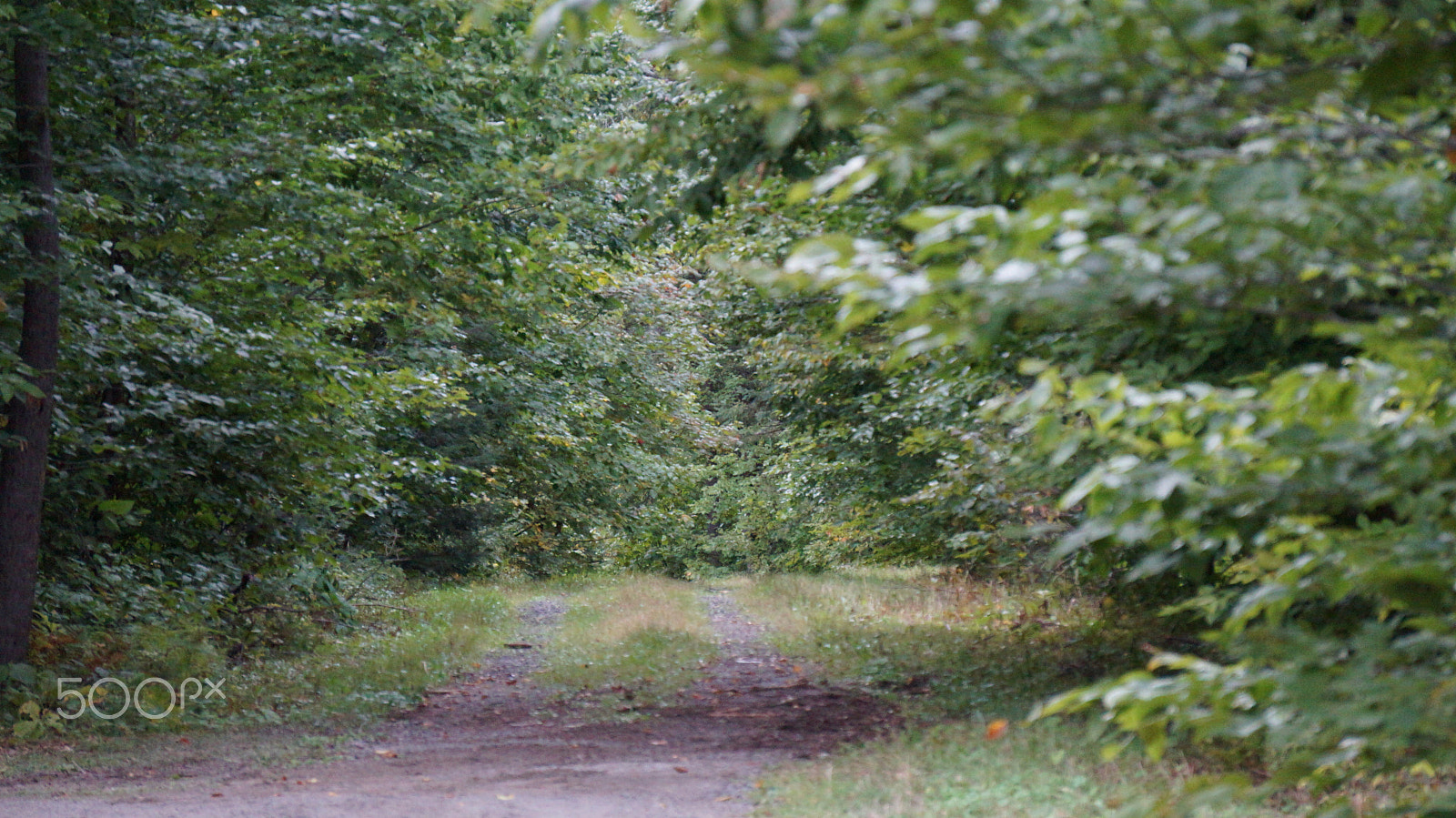 Sony E 55-210mm F4.5-6.3 OSS sample photo. Manitou trail photography
